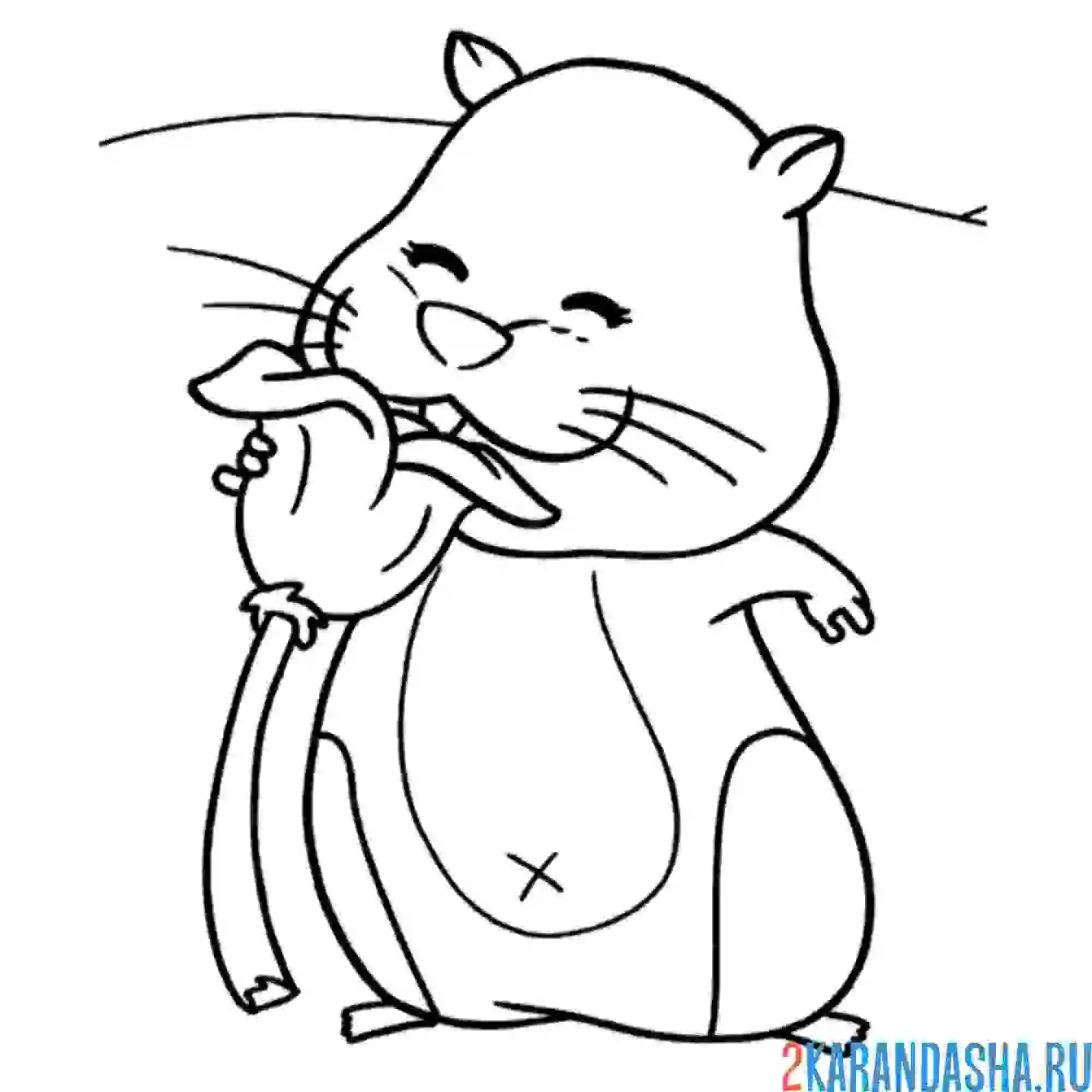 Раскраска хомяк нюхает цветы