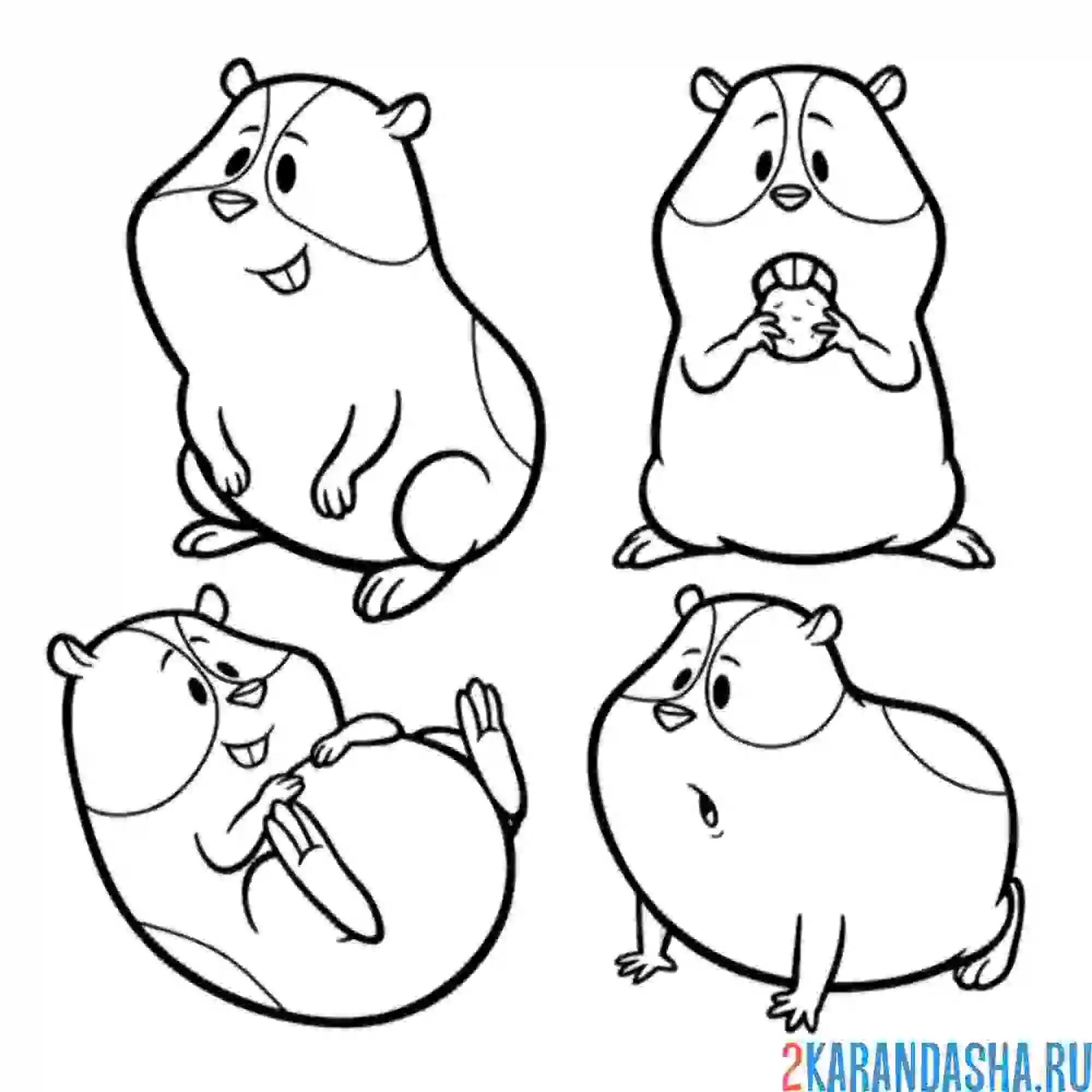 Раскраска четыре хомяка