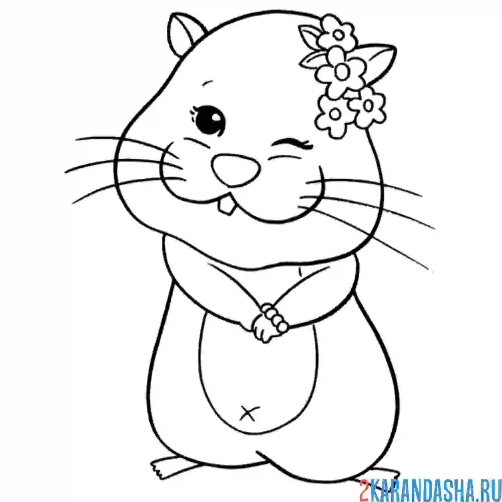 Раскраска хомячок девочка