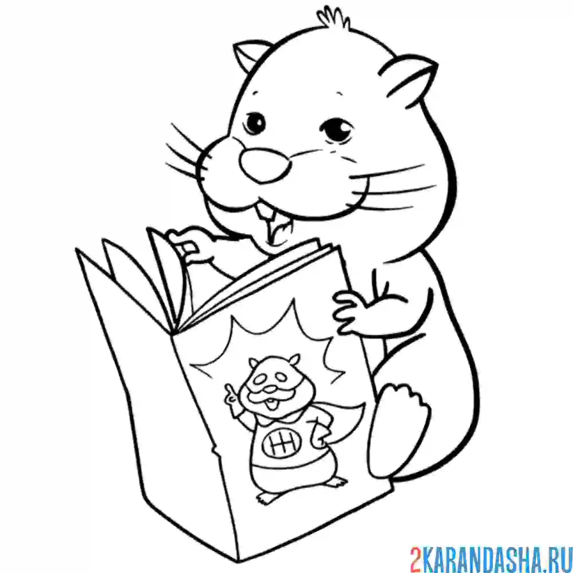 Раскраска хомяк и комикс