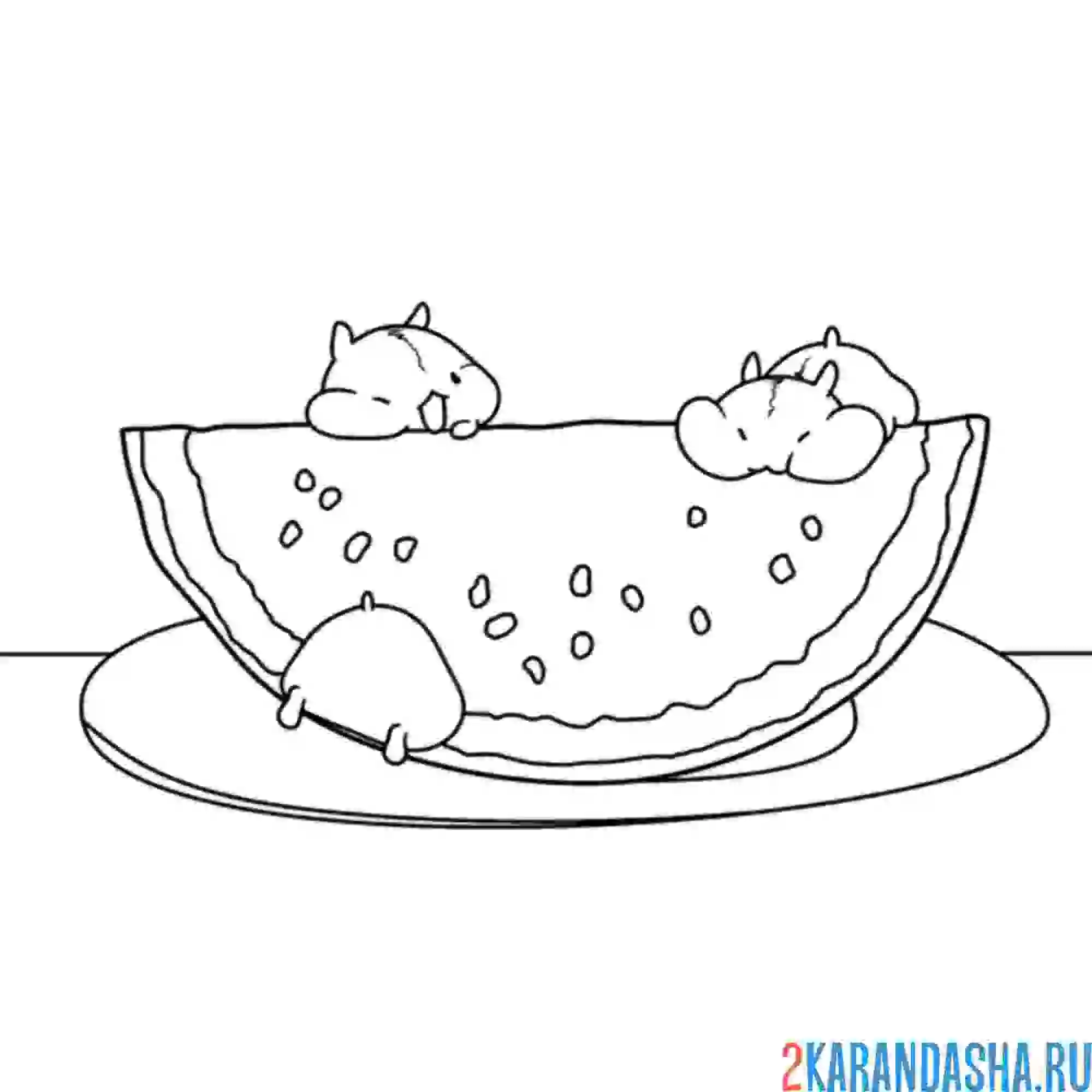Раскраска хомяки едят арбуз