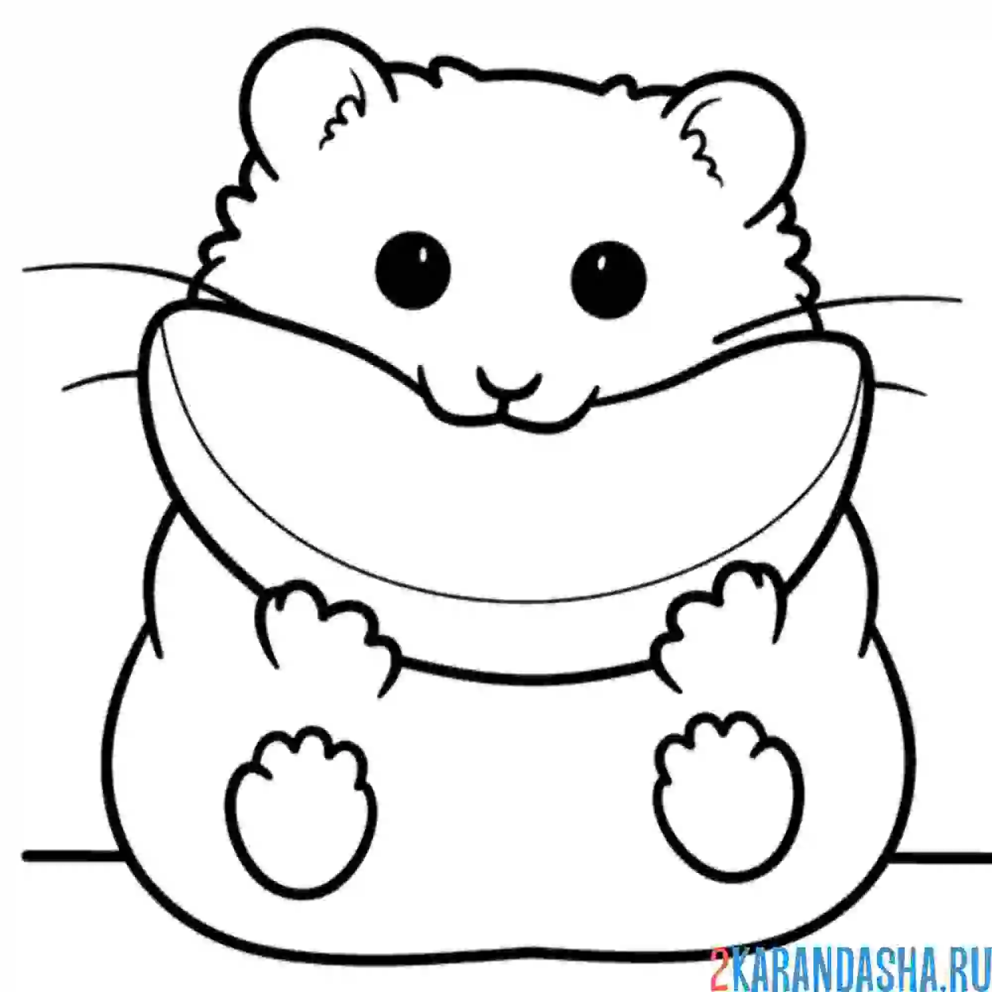 Раскраска хомяк ест дыню