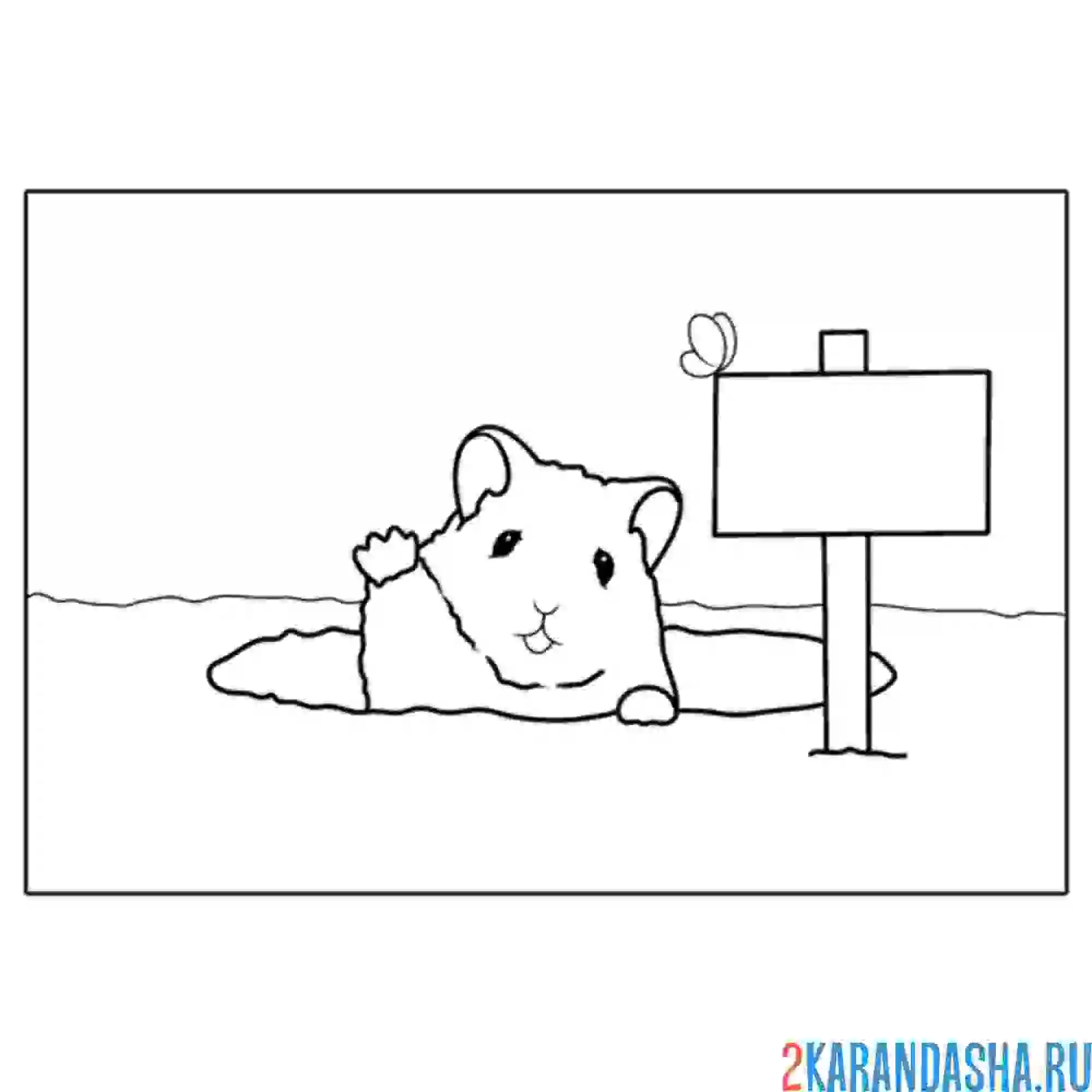 Раскраска хомяк в норке