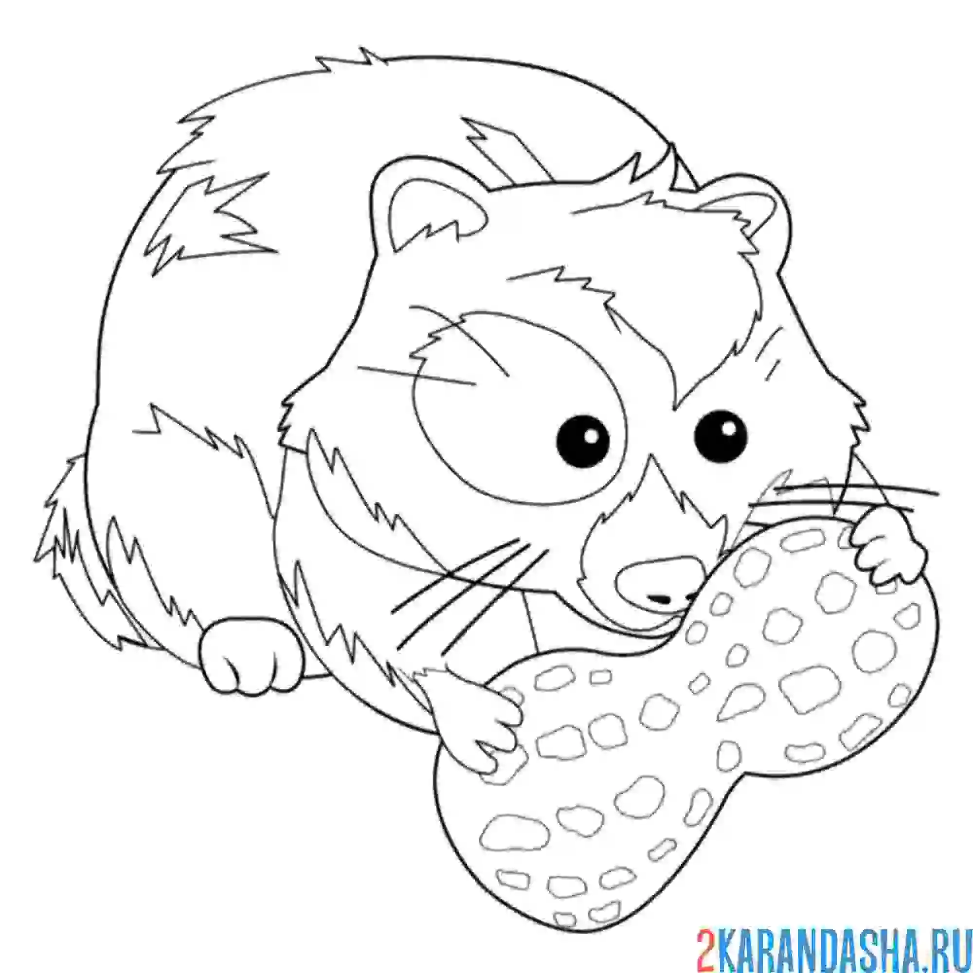 Раскраска хомяк ест арахис