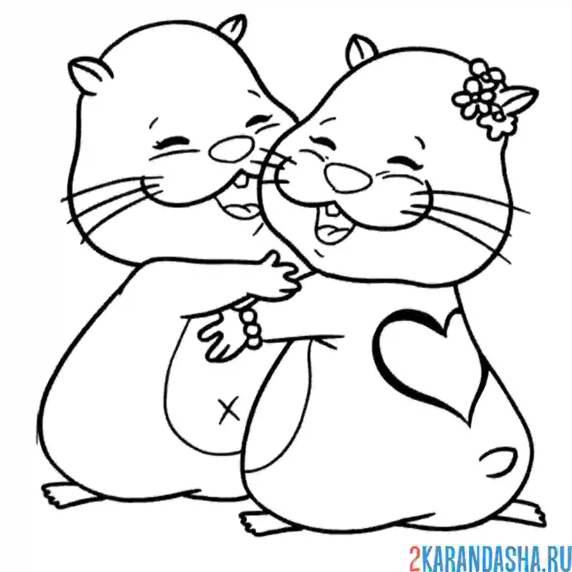 Раскраска хомячья любовь