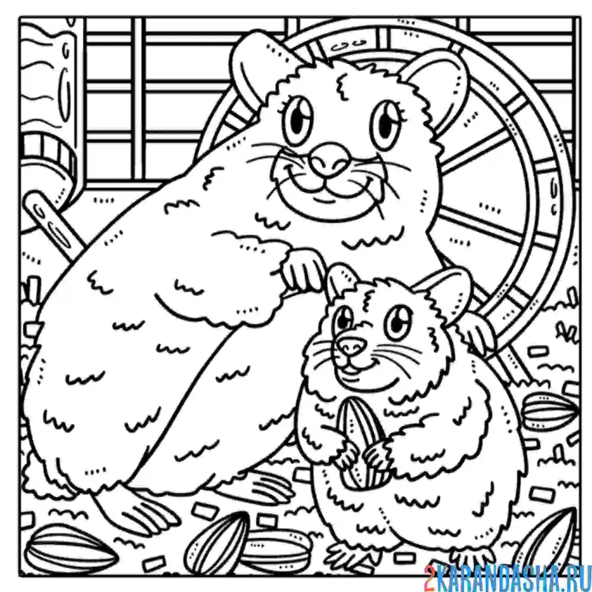 Раскраска хомяк мама и малыш