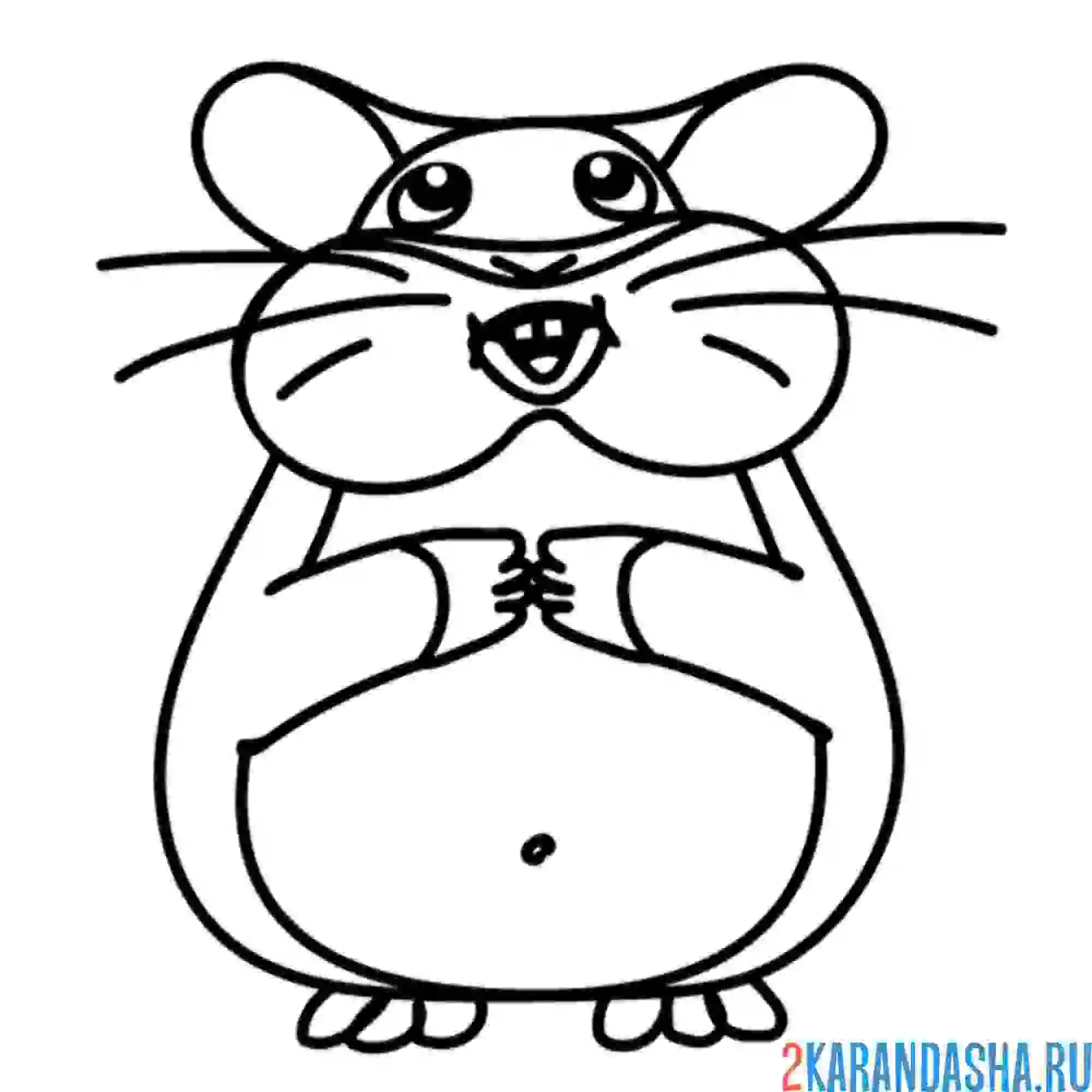 Раскраска хомяк смотрит в небо