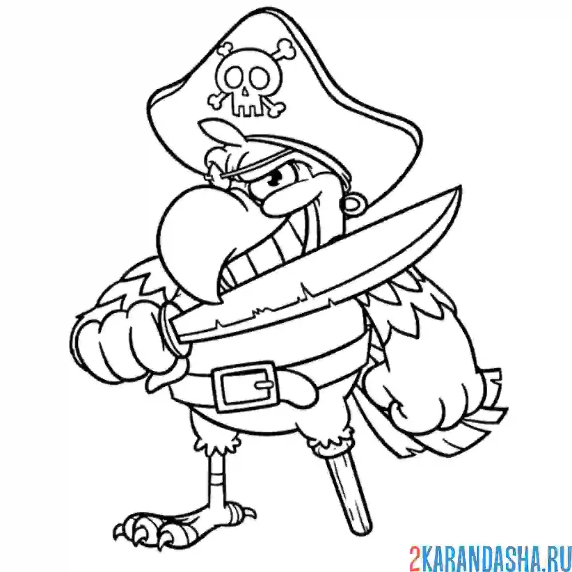 Раскраска попуга-пират