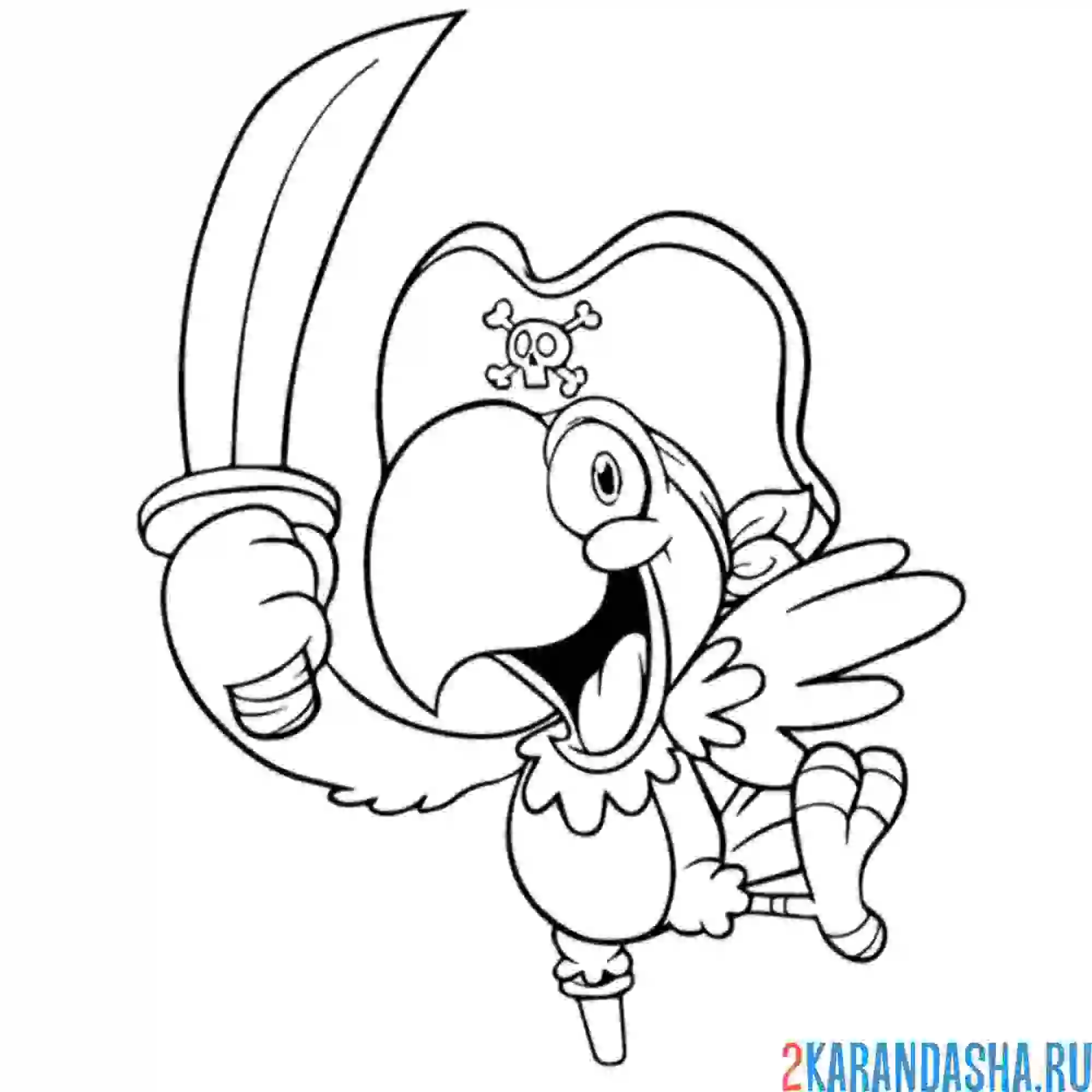 Раскраска попугай пирата