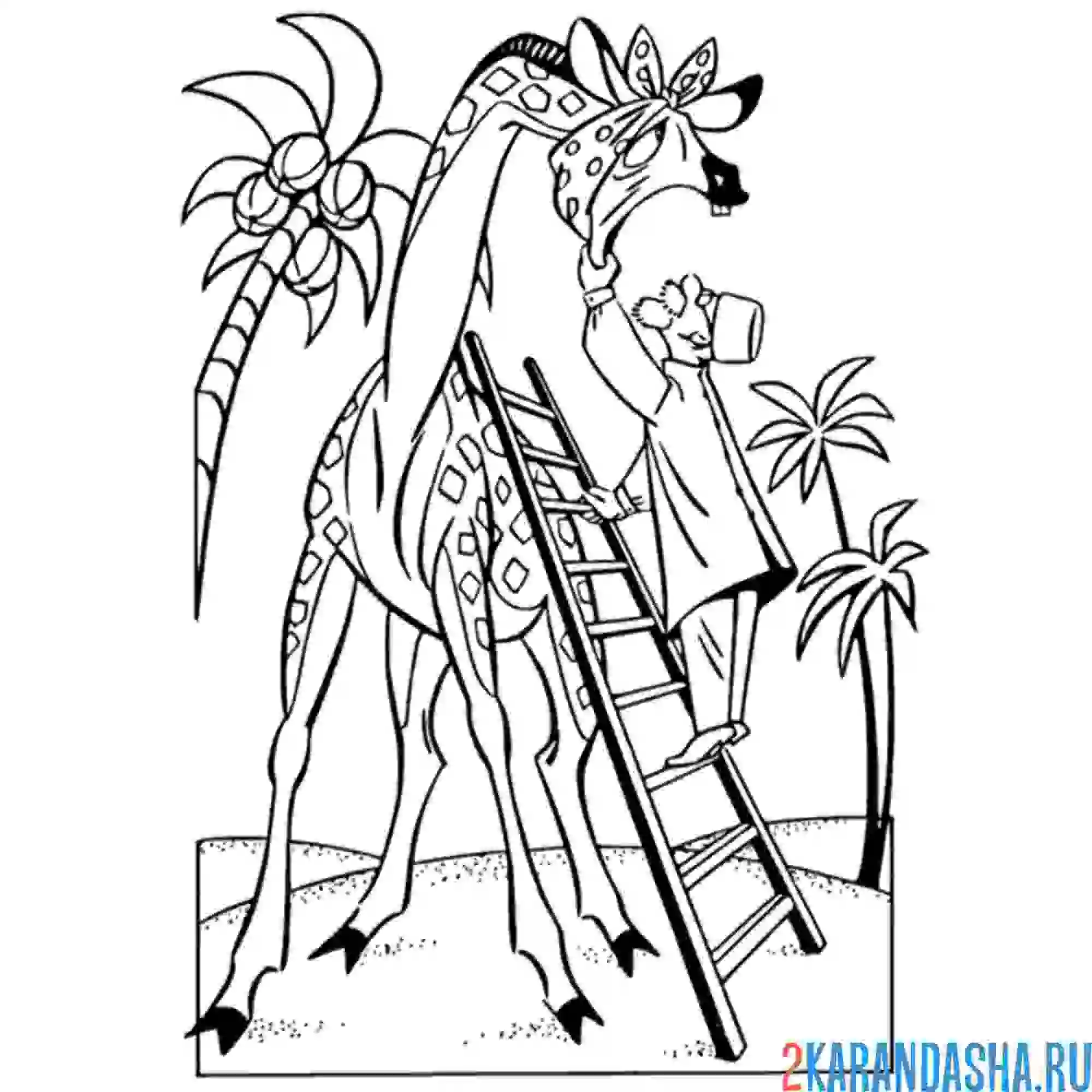 Раскраска айболит проверяет жирафа