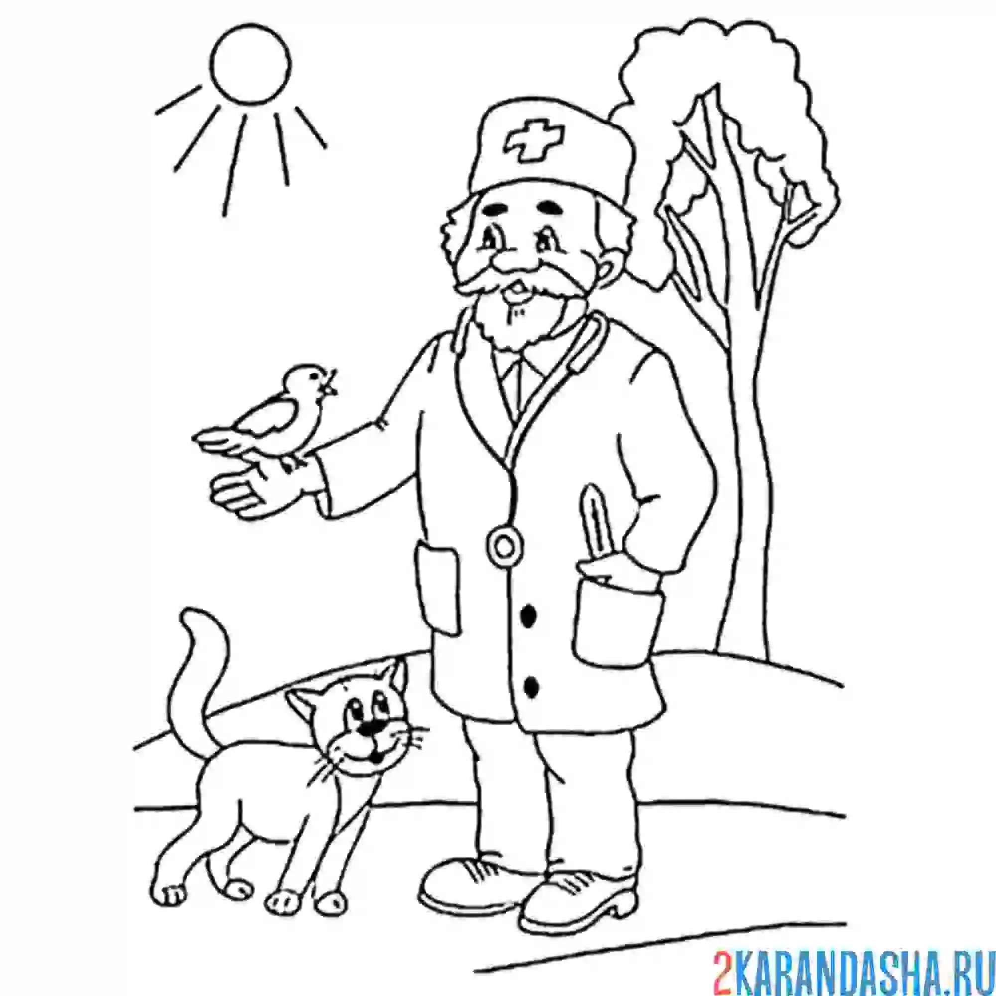 Раскраска айболит и котик