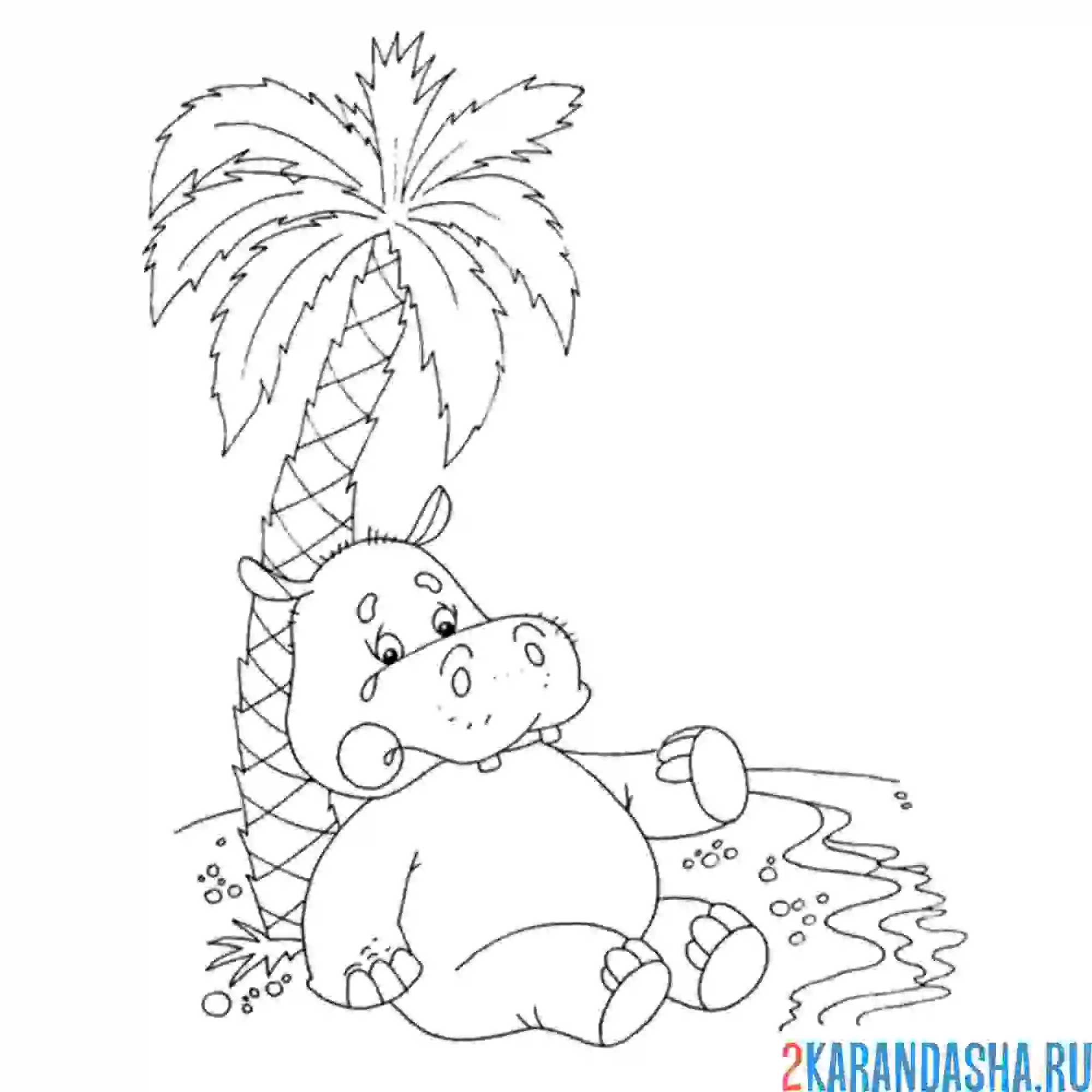 Раскраска бегемотик у айболита