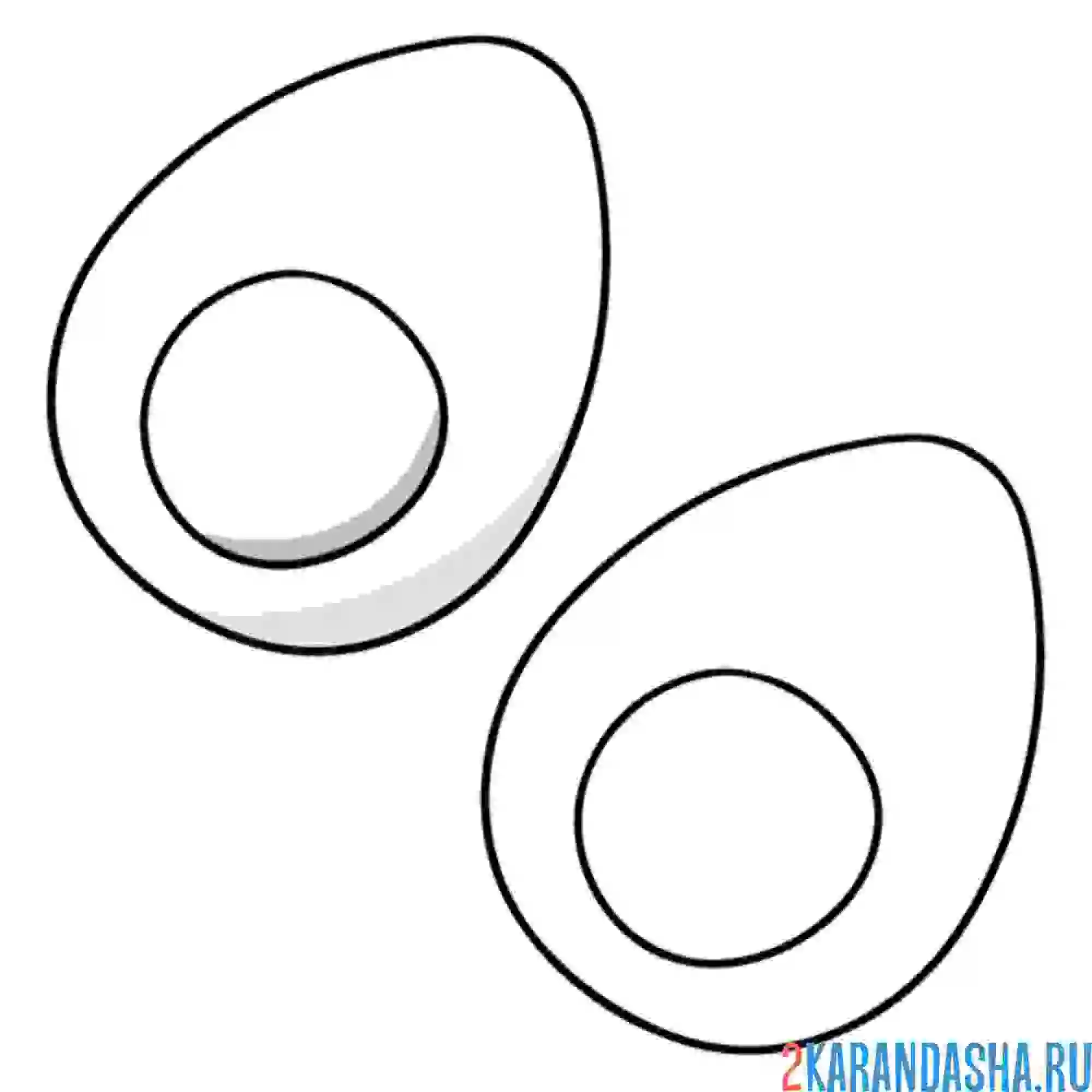 Раскраска яйцо в разрезе