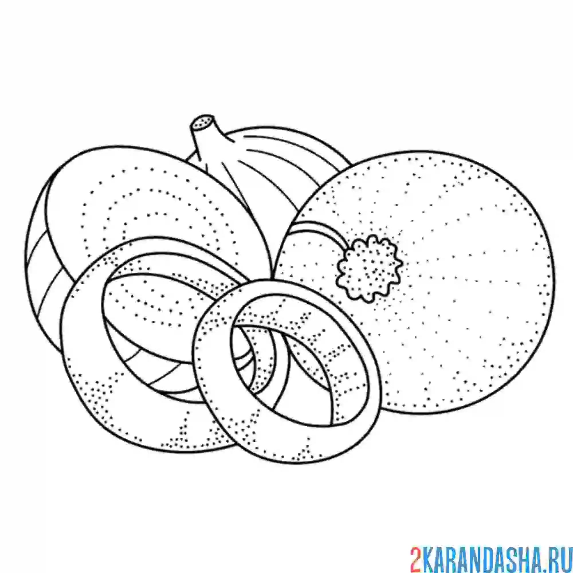 Раскраска луковые кольца