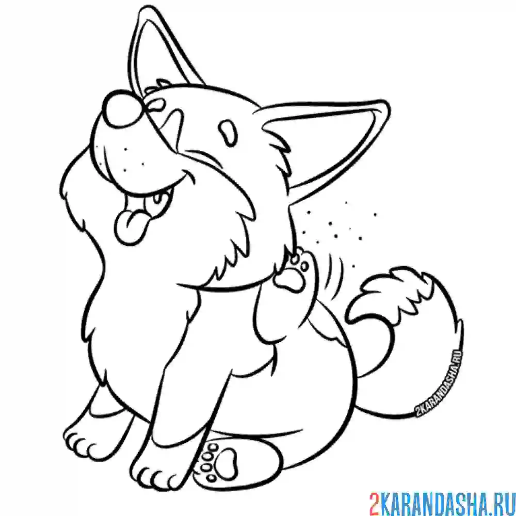 Раскраска корги чешется