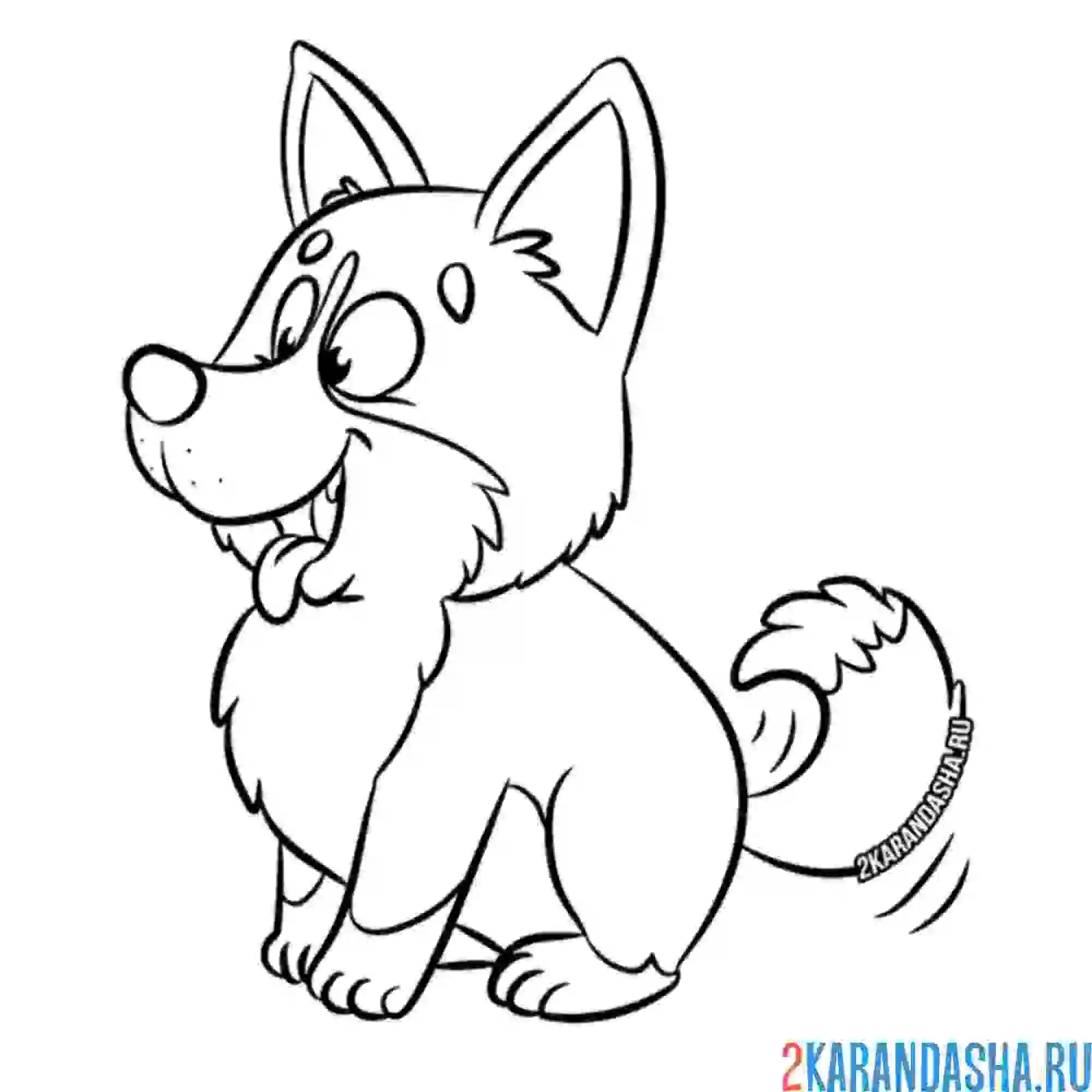 Раскраска корги виляет хвостиком
