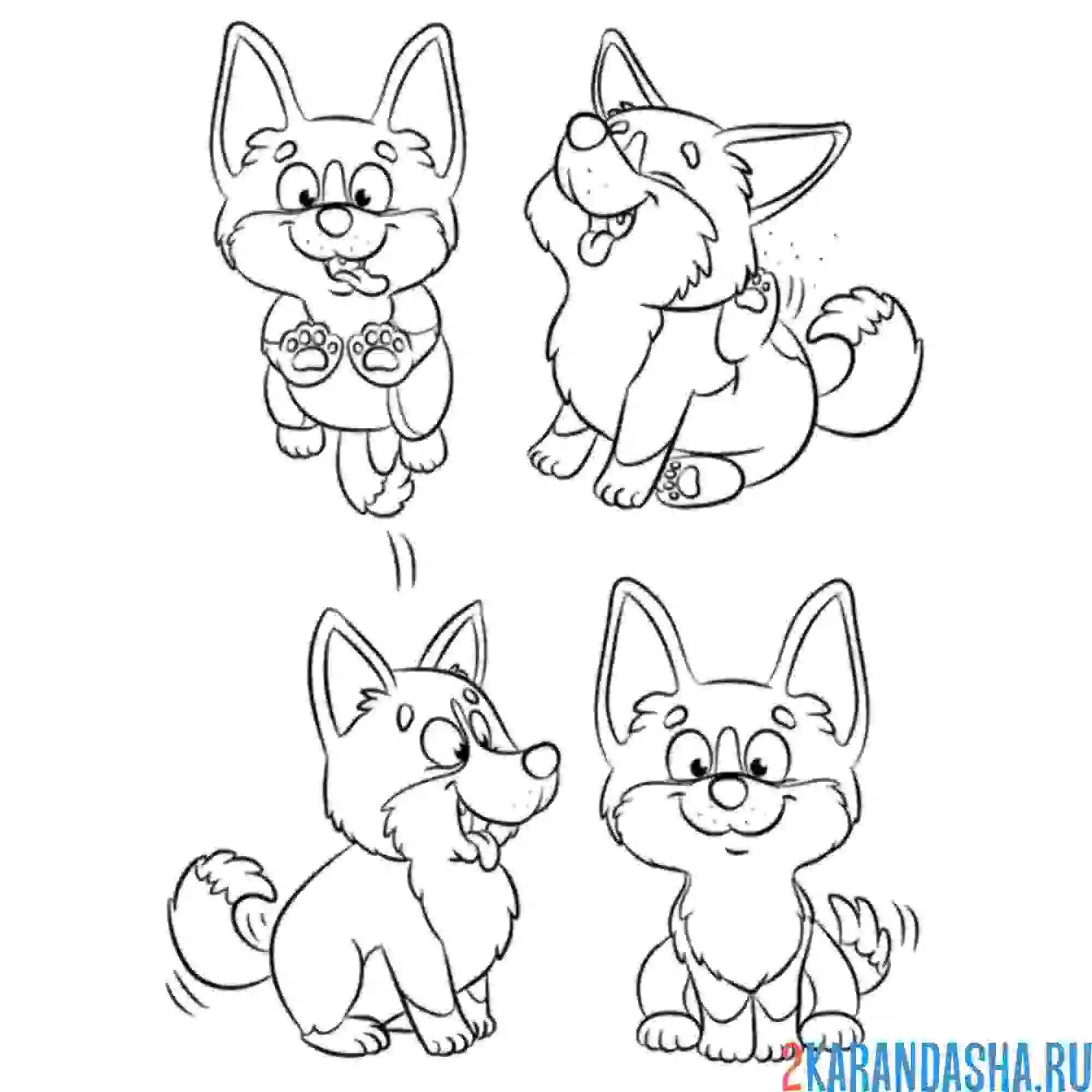 Раскраска милые корги