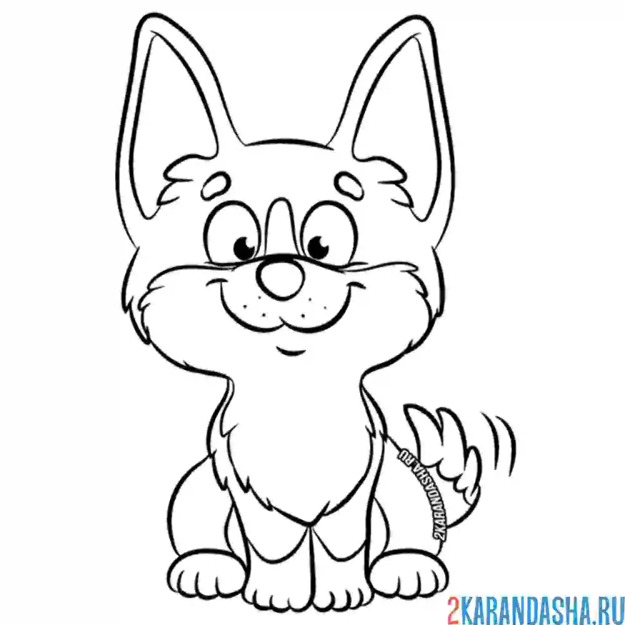 Раскраска корги сидит