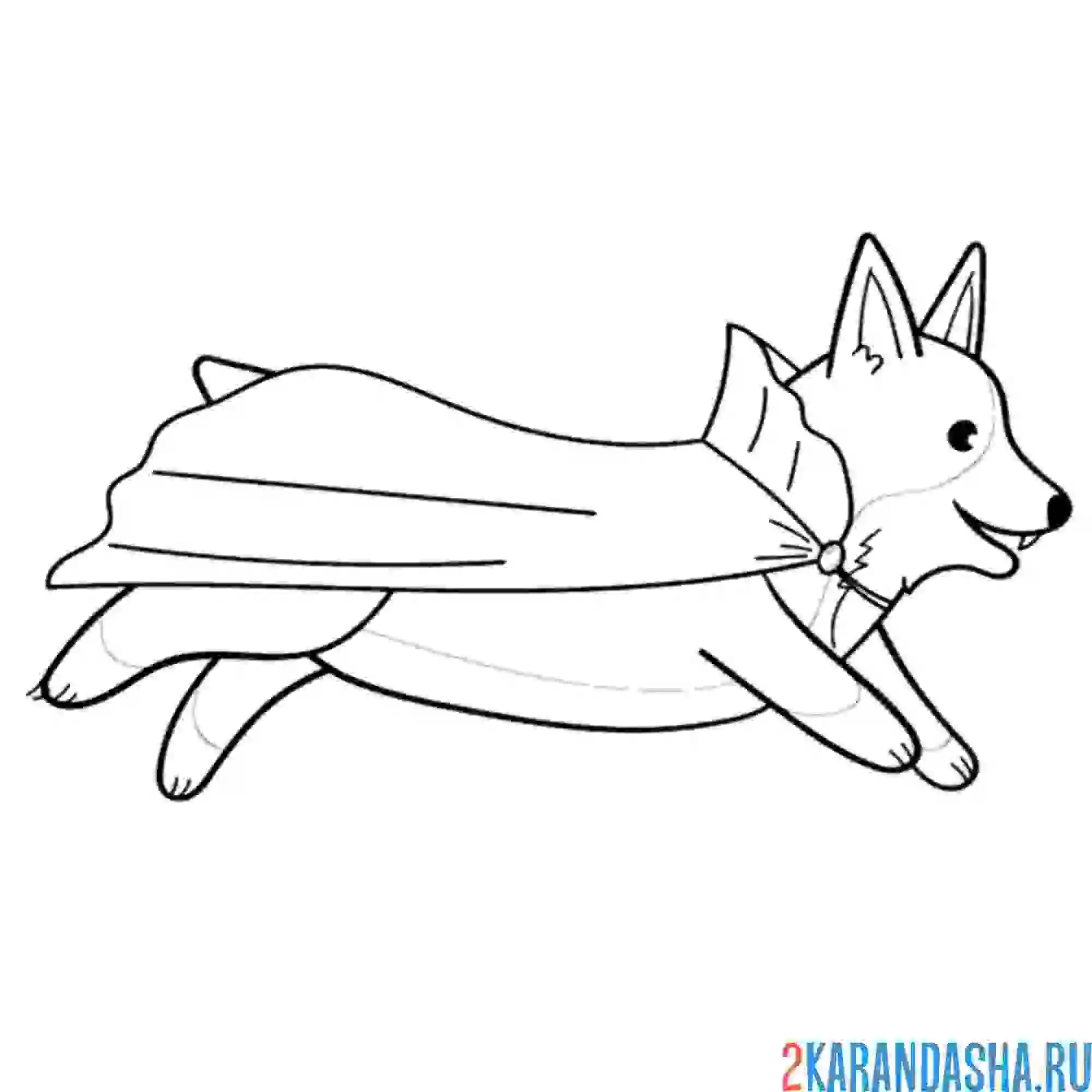 Раскраска хэллоуин корги дракула