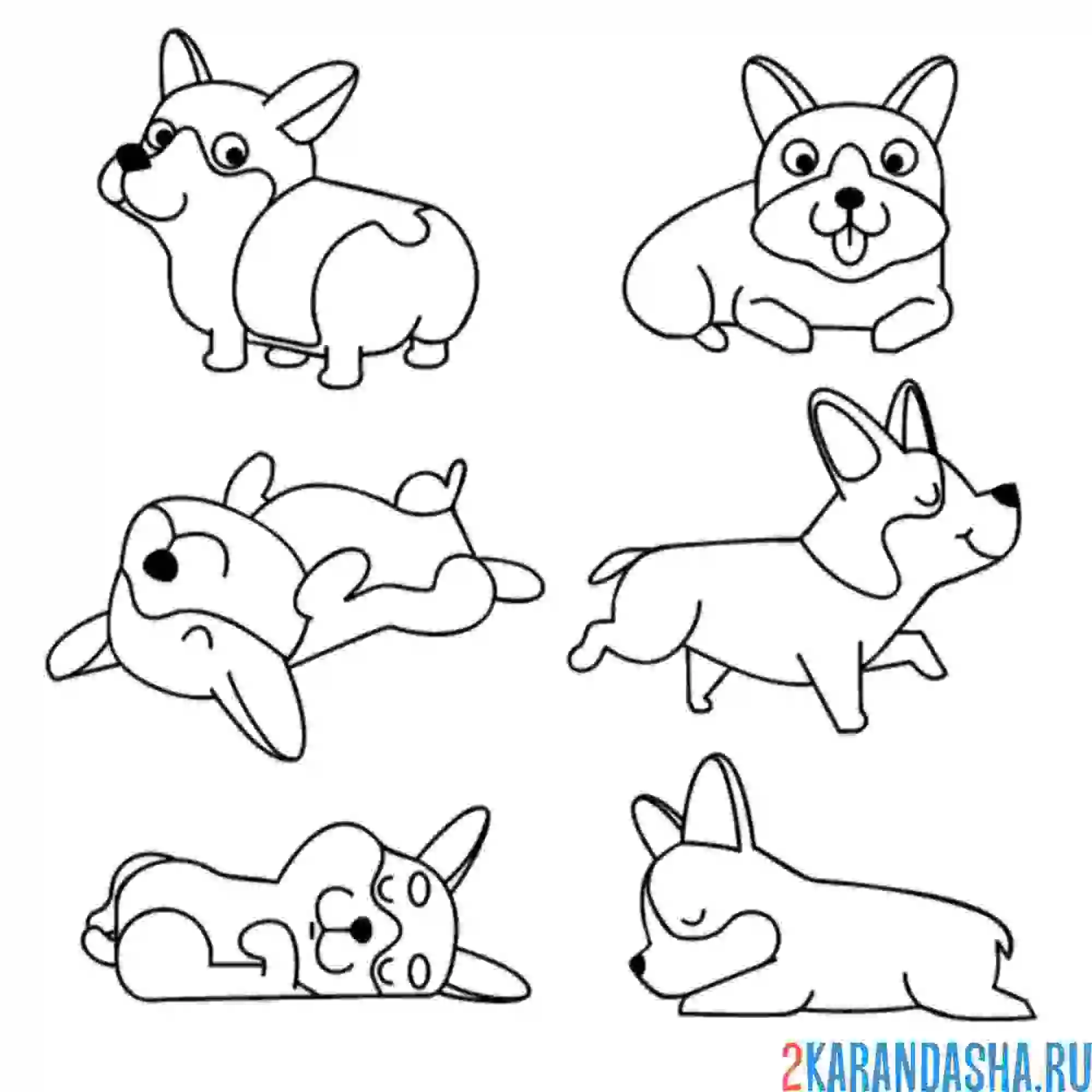 Раскраска наклейки корги