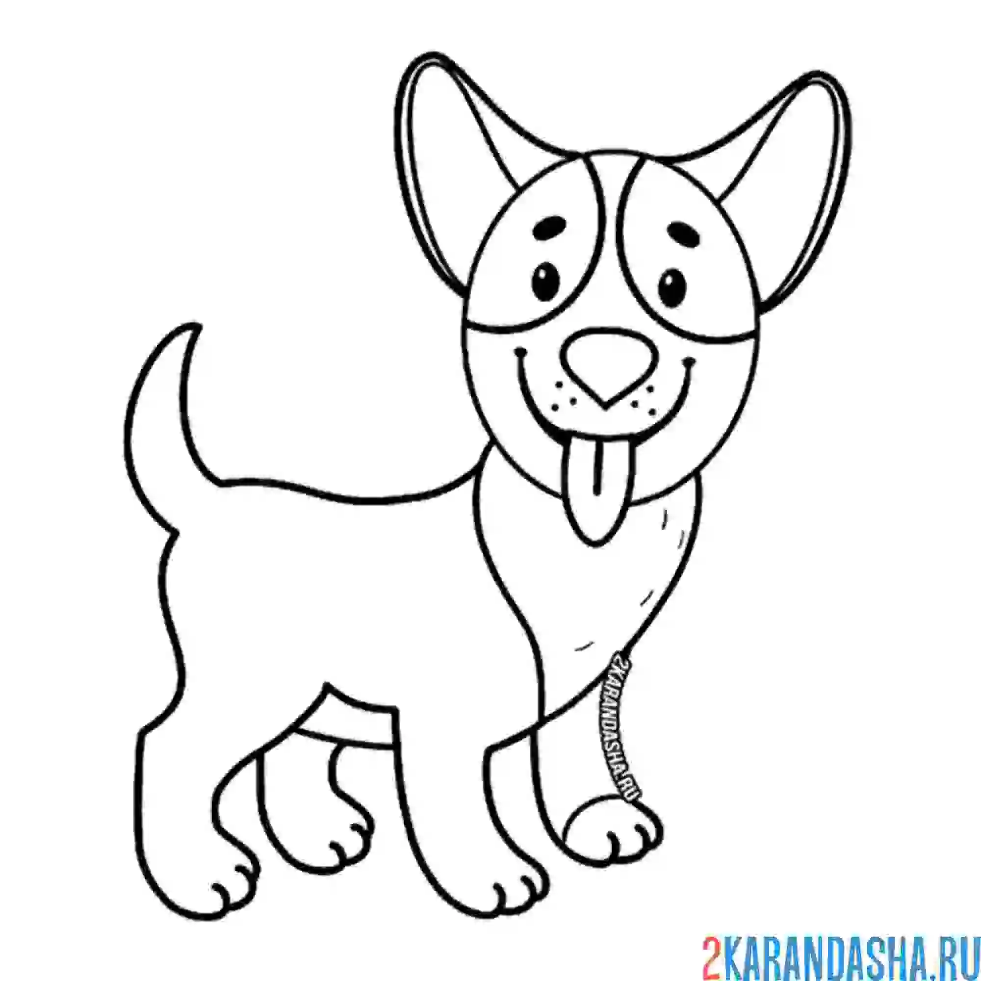 Раскраска маленький корги