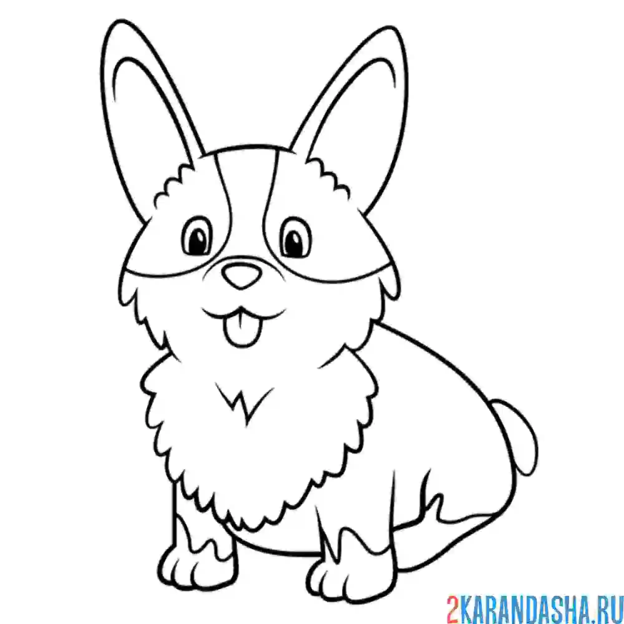 Раскраска щенок корги ушастый