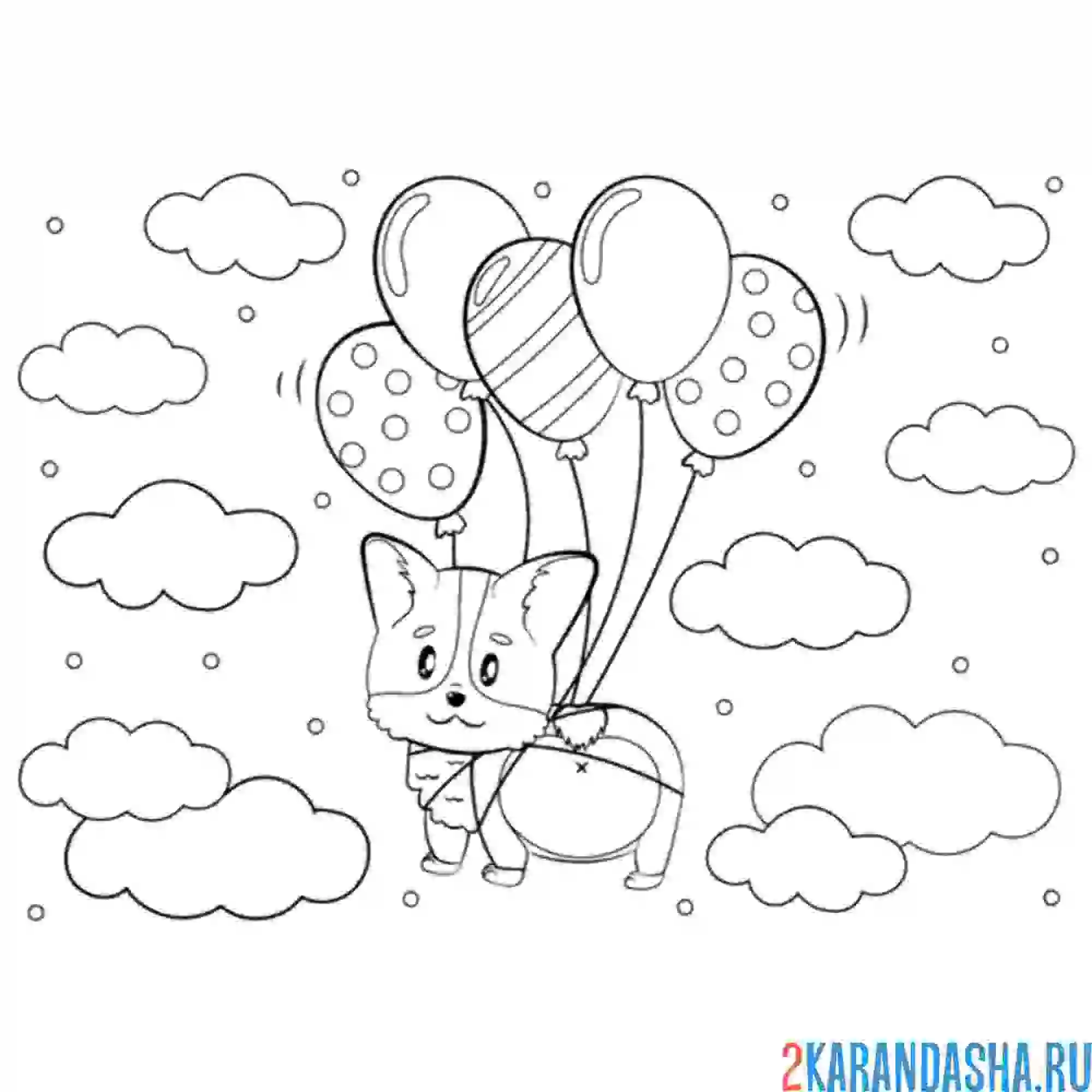 Раскраска корги на воздушных шарах