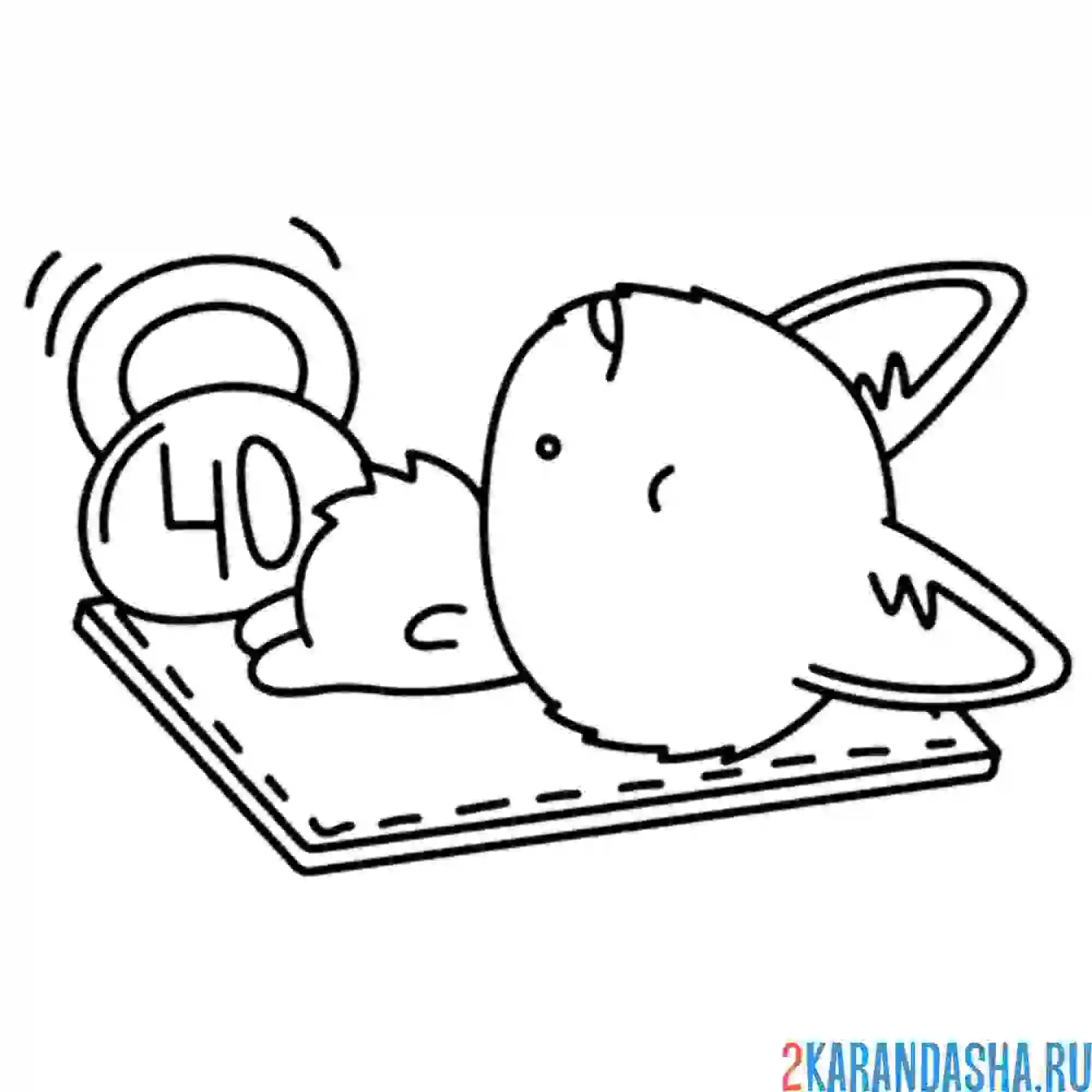 Раскраска корги спортсмен