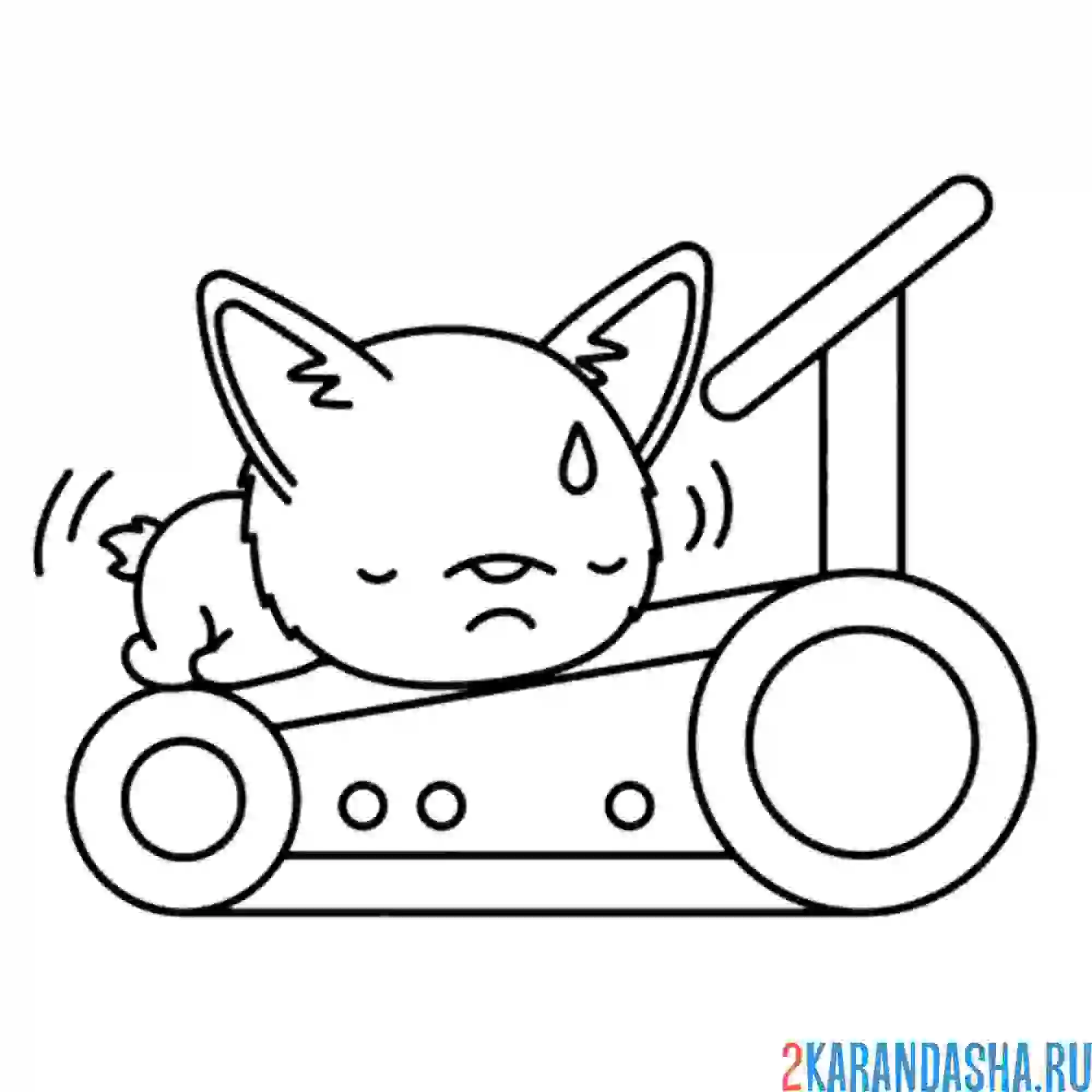 Раскраска корги на велодорожке