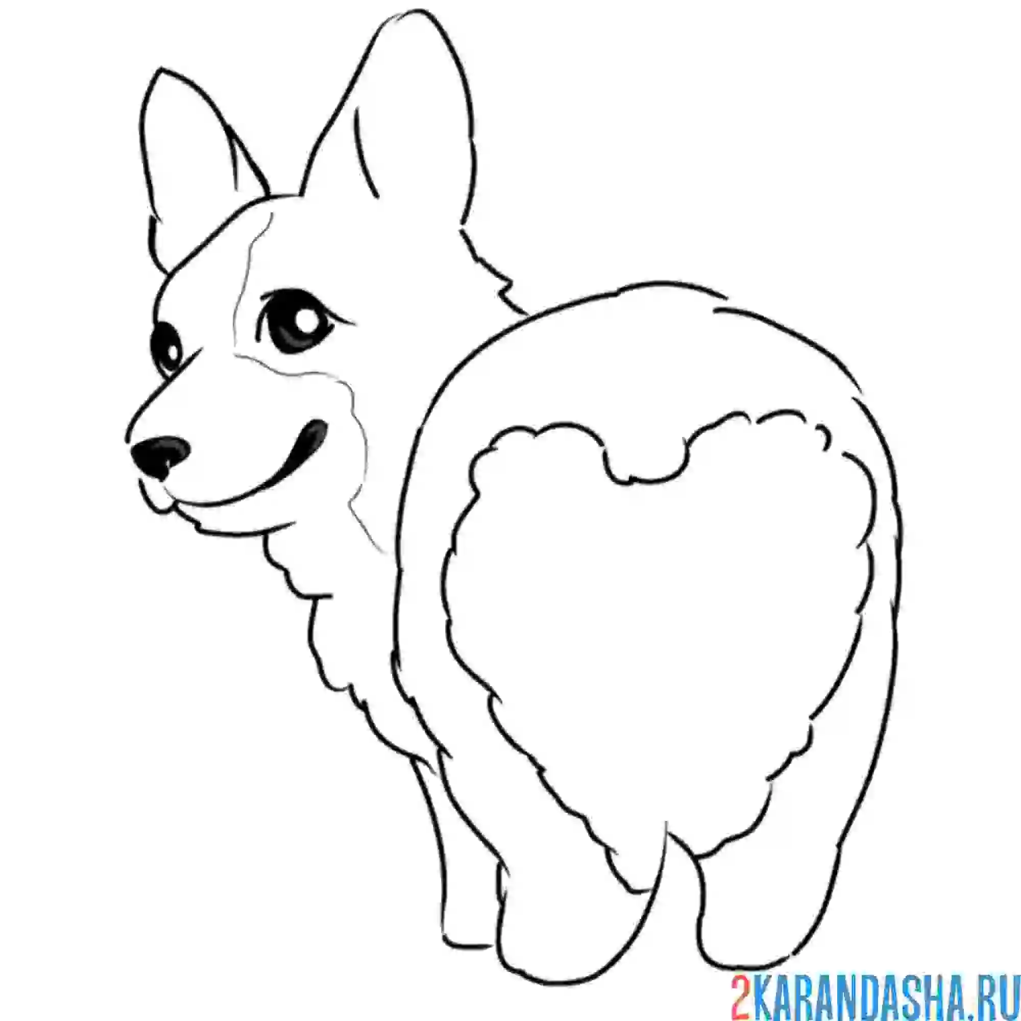 Раскраска корги малыш хороший