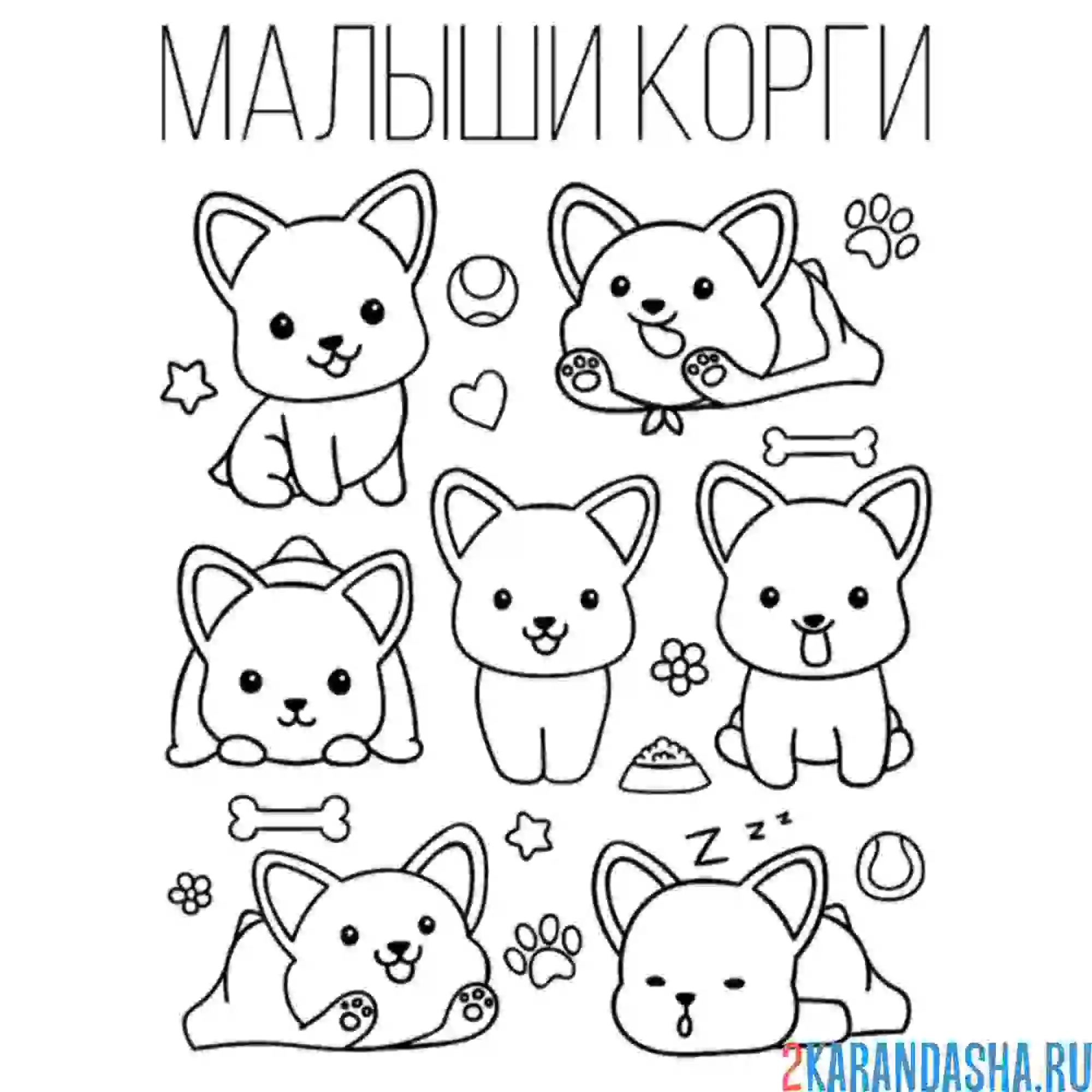 Раскраска корги малыши наклейки