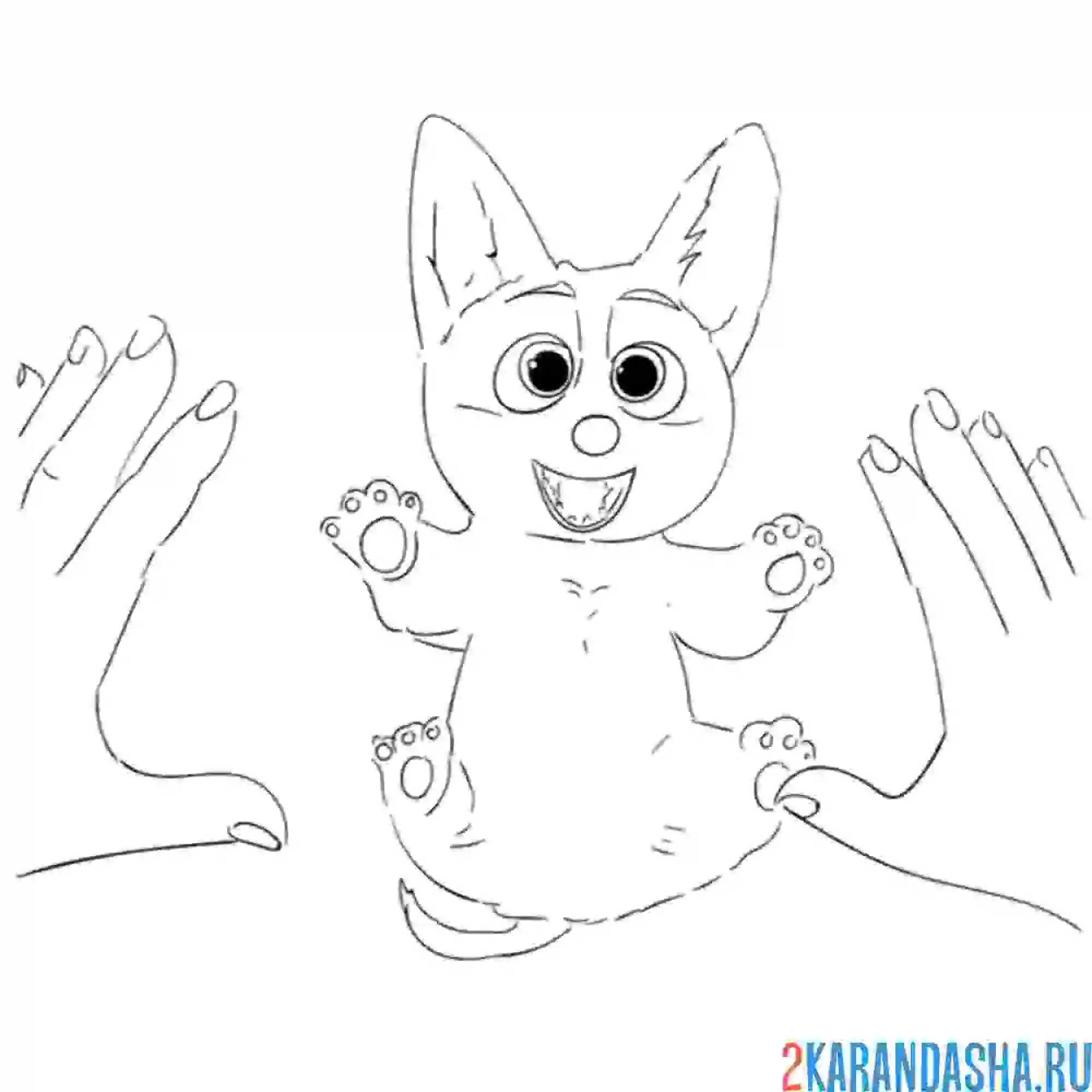 Раскраска малышкин корги