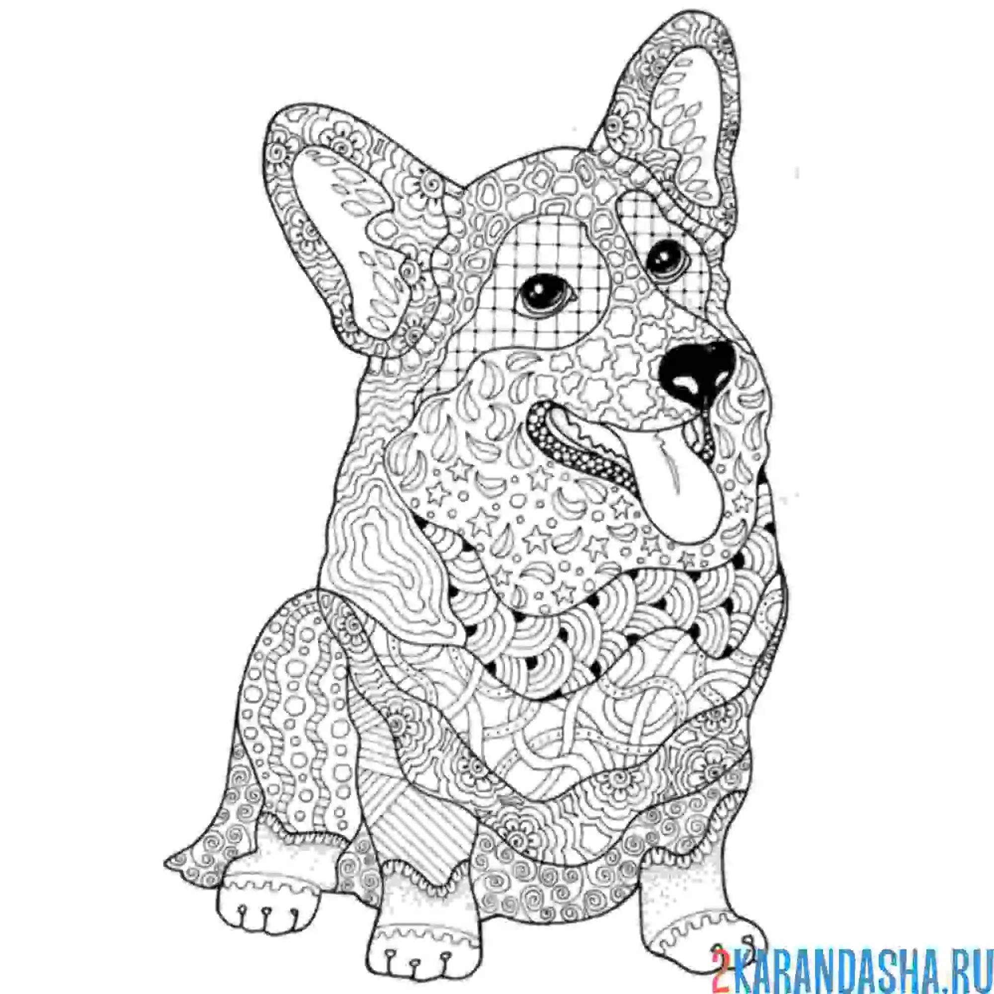 Раскраска корги собака антистресс