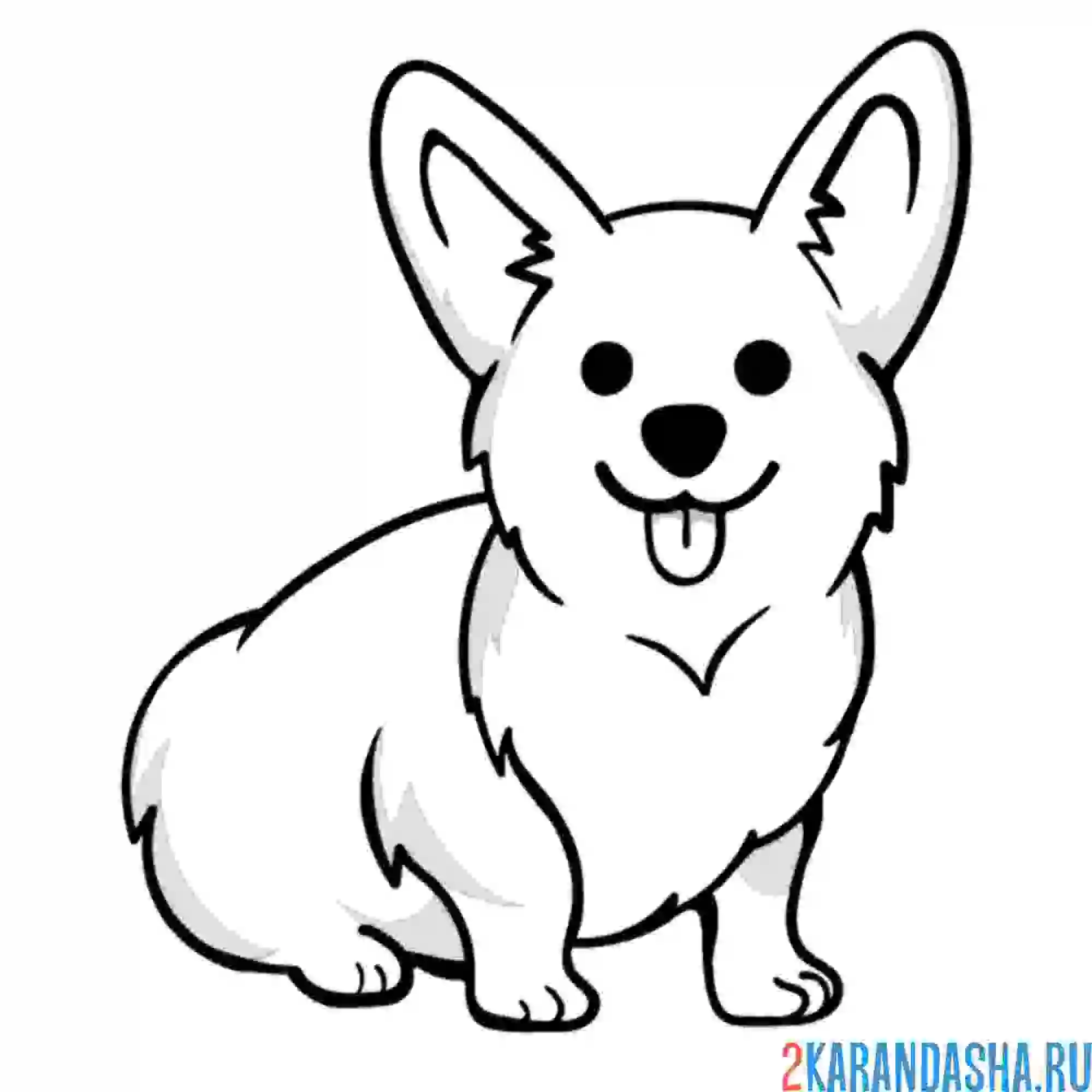 Раскраска корги язык