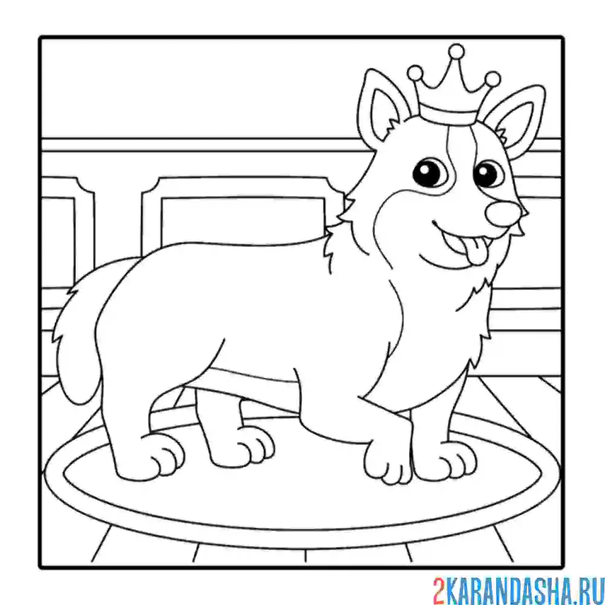 Раскраска королевский корги