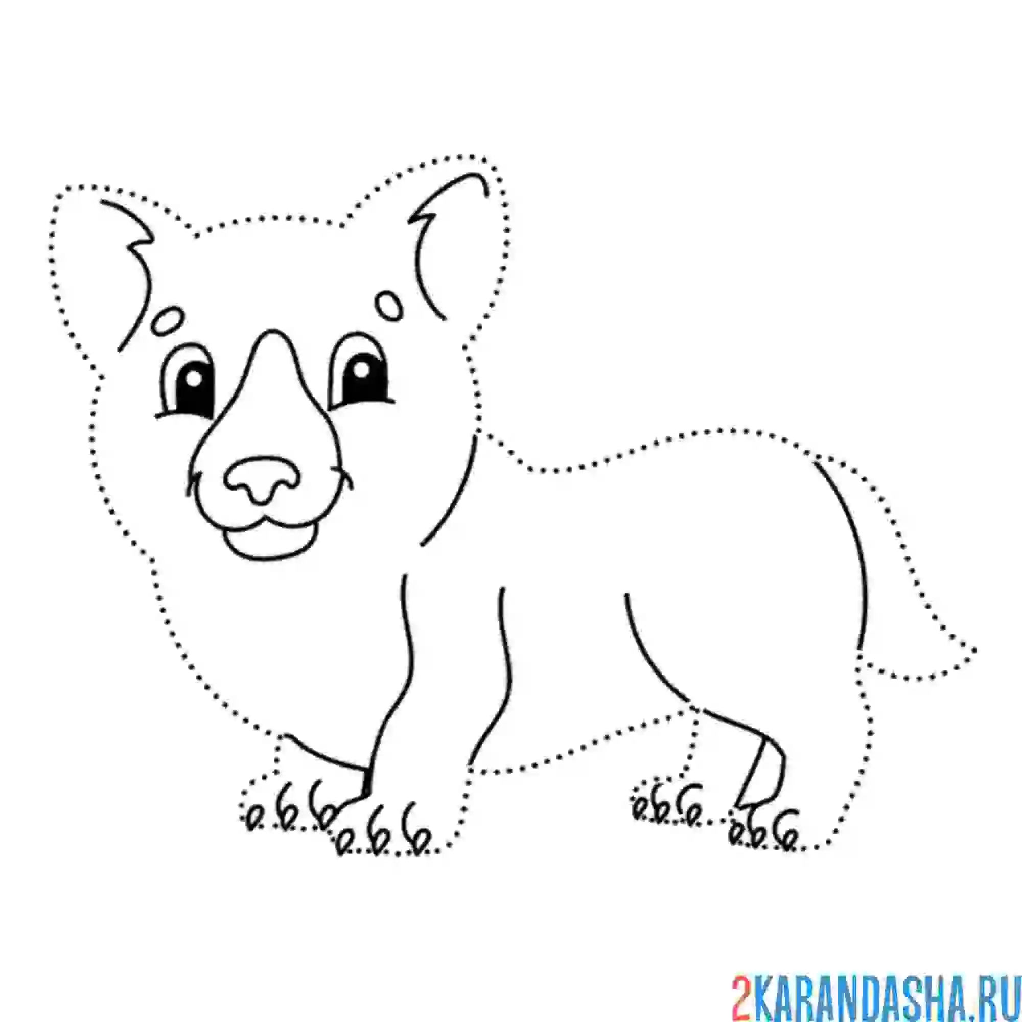 Раскраска обведи корги