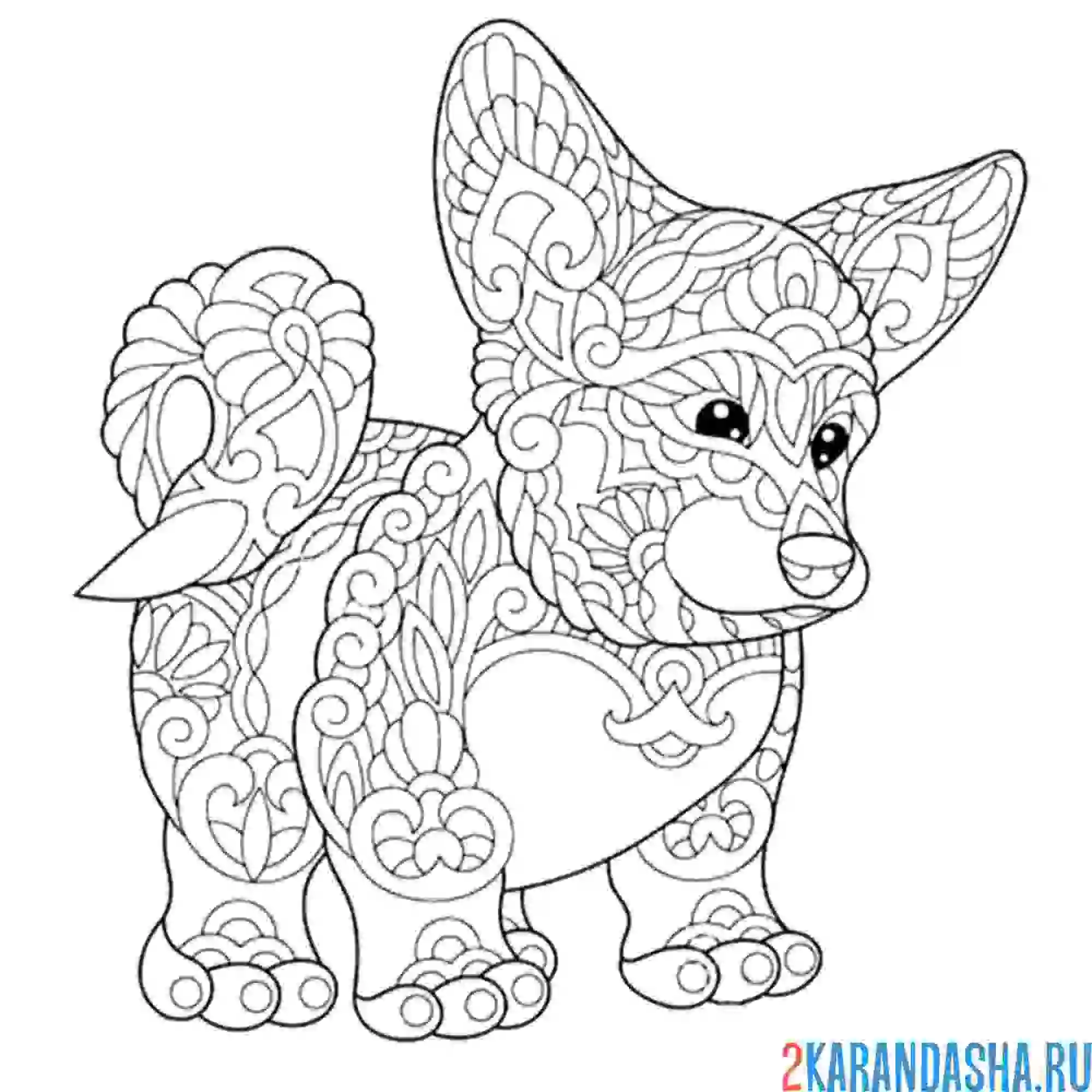 Раскраска корги малыш антистресс