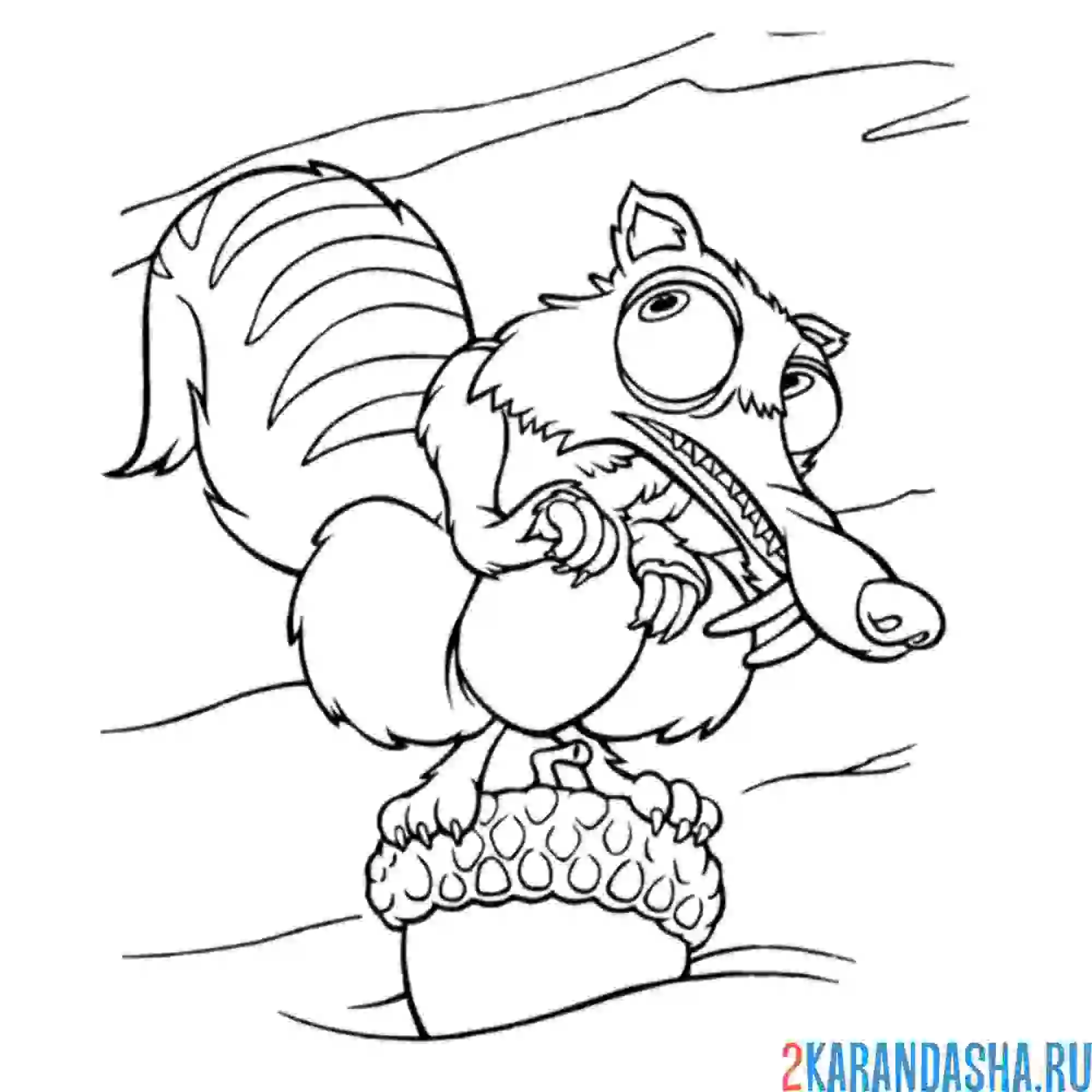 Раскраска белка из ледникового периода