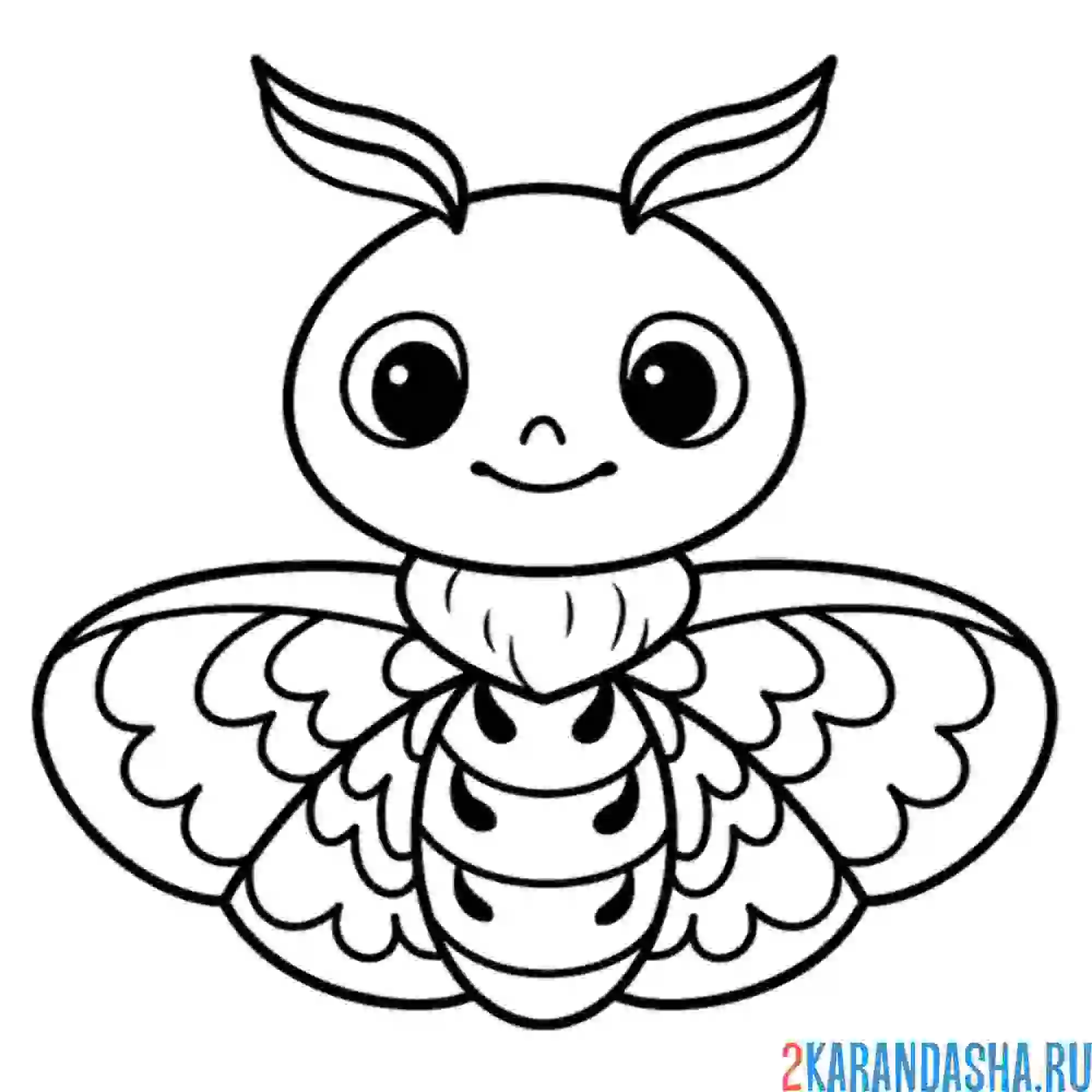 Раскраска мотылек каваи