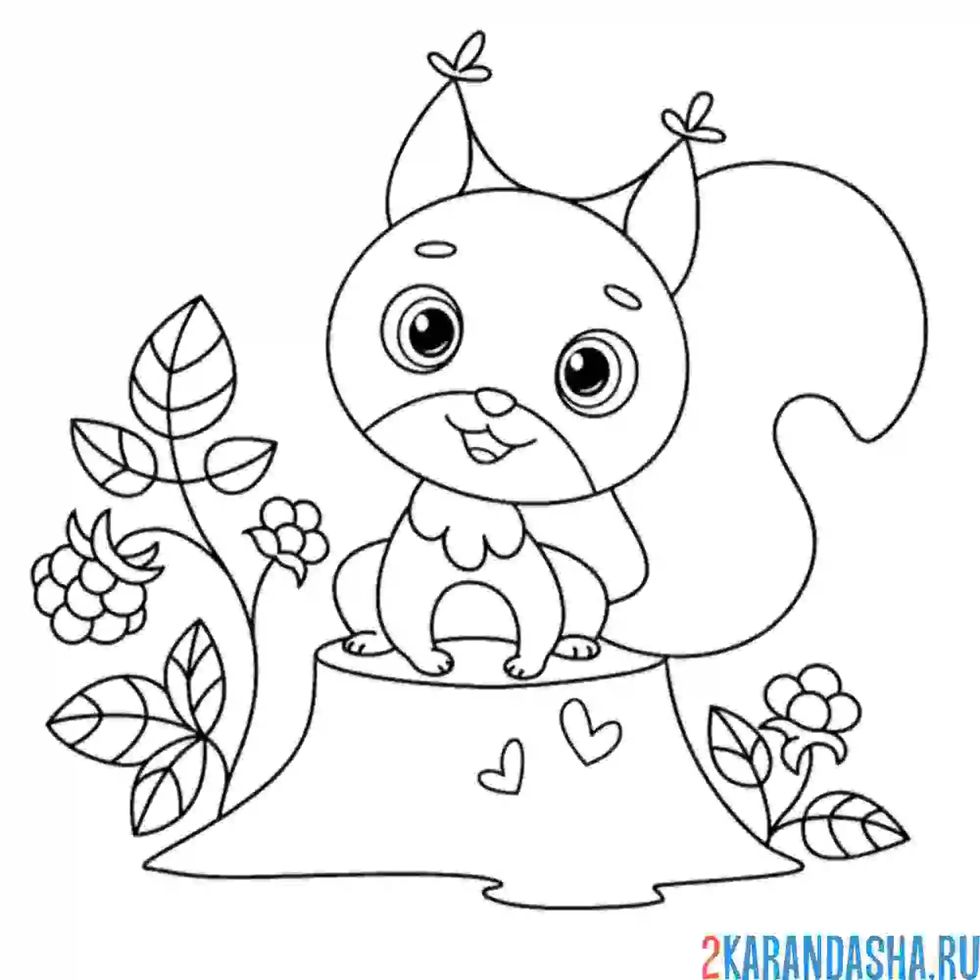 Раскраска белочка каваи