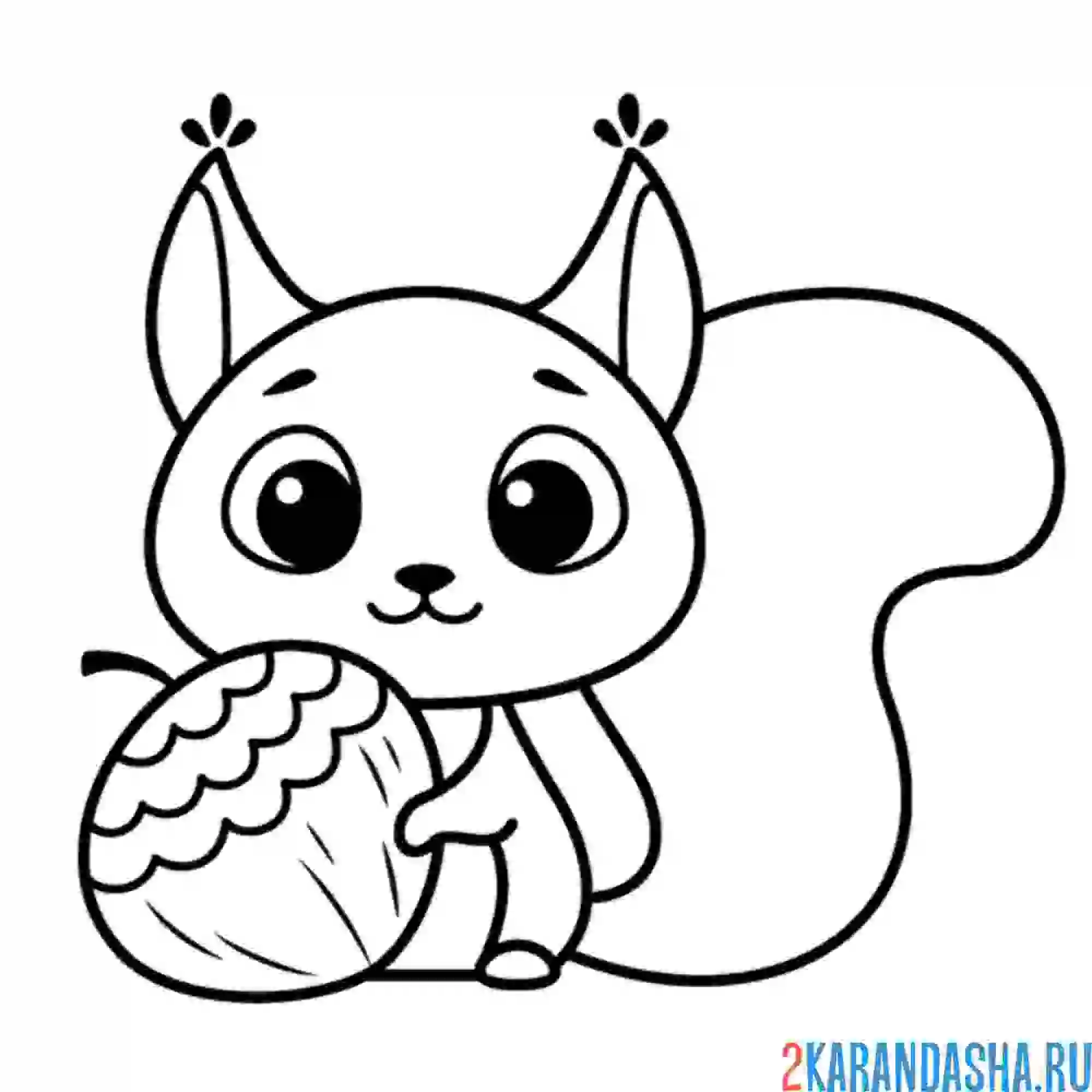 Раскраска каваи белочка с орешком