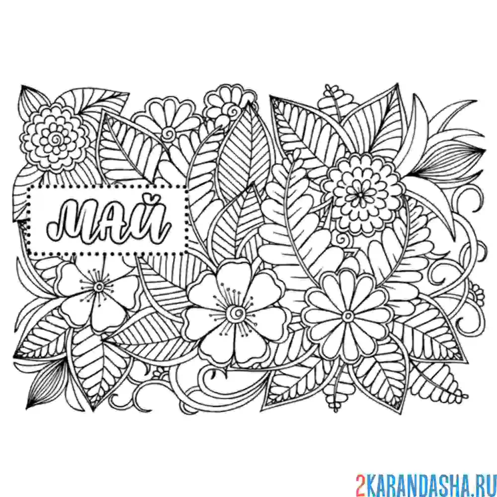 Раскраска май в цветах