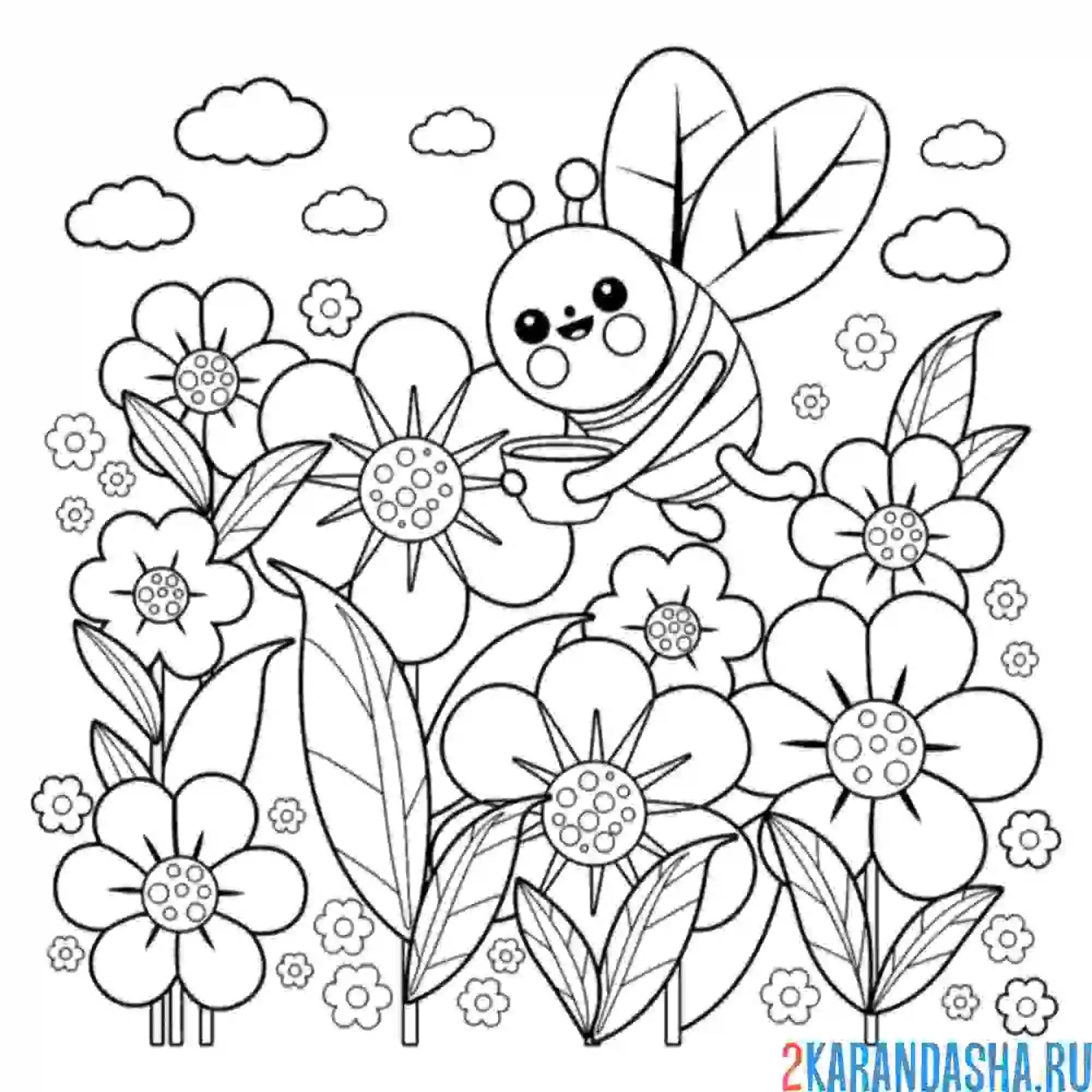 Раскраска май с пчелкой