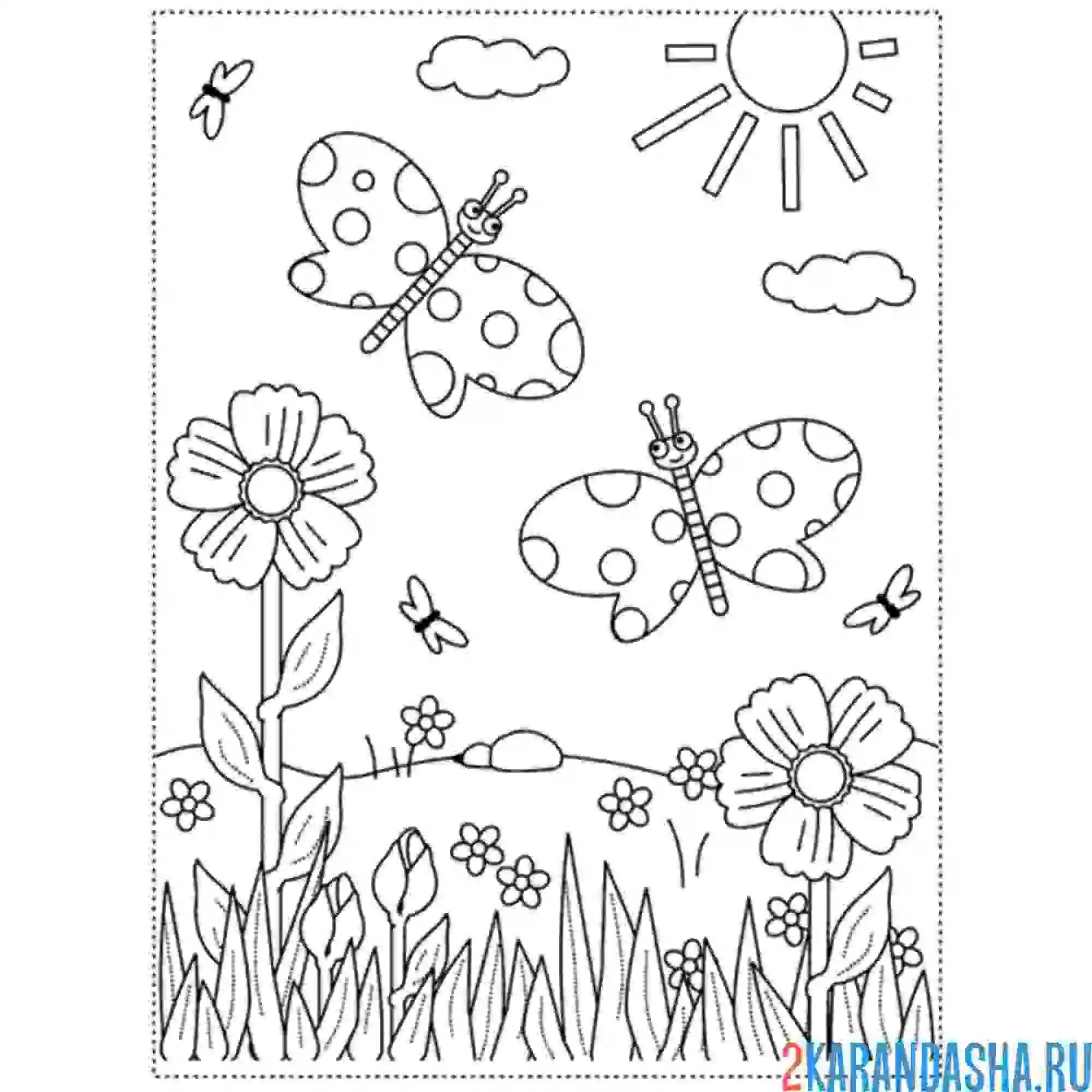 Раскраска бабочки солнце май