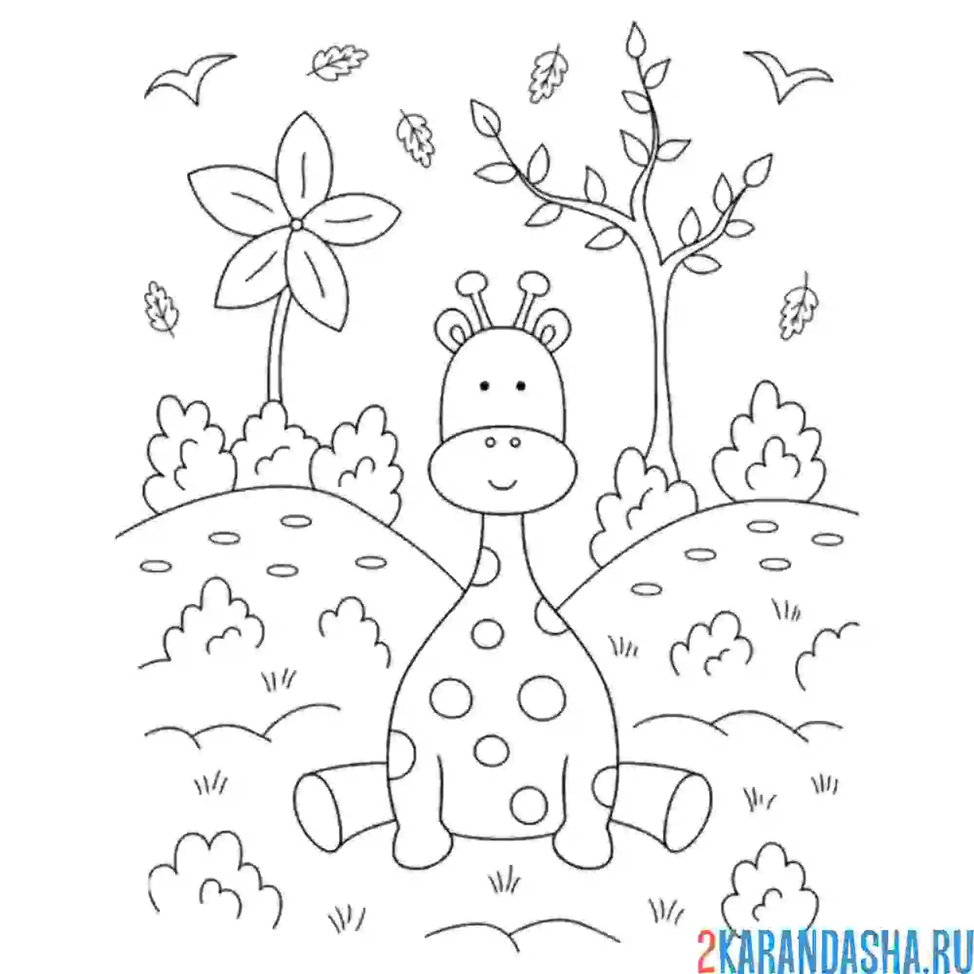 Раскраска жираф в мае