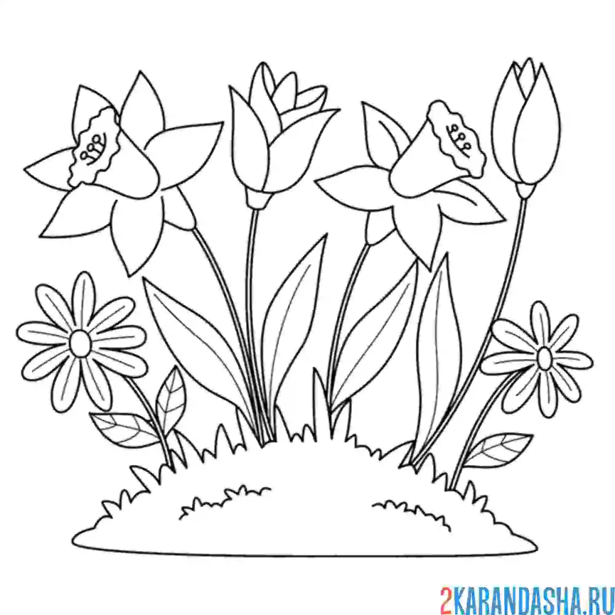 Раскраска цветение майское