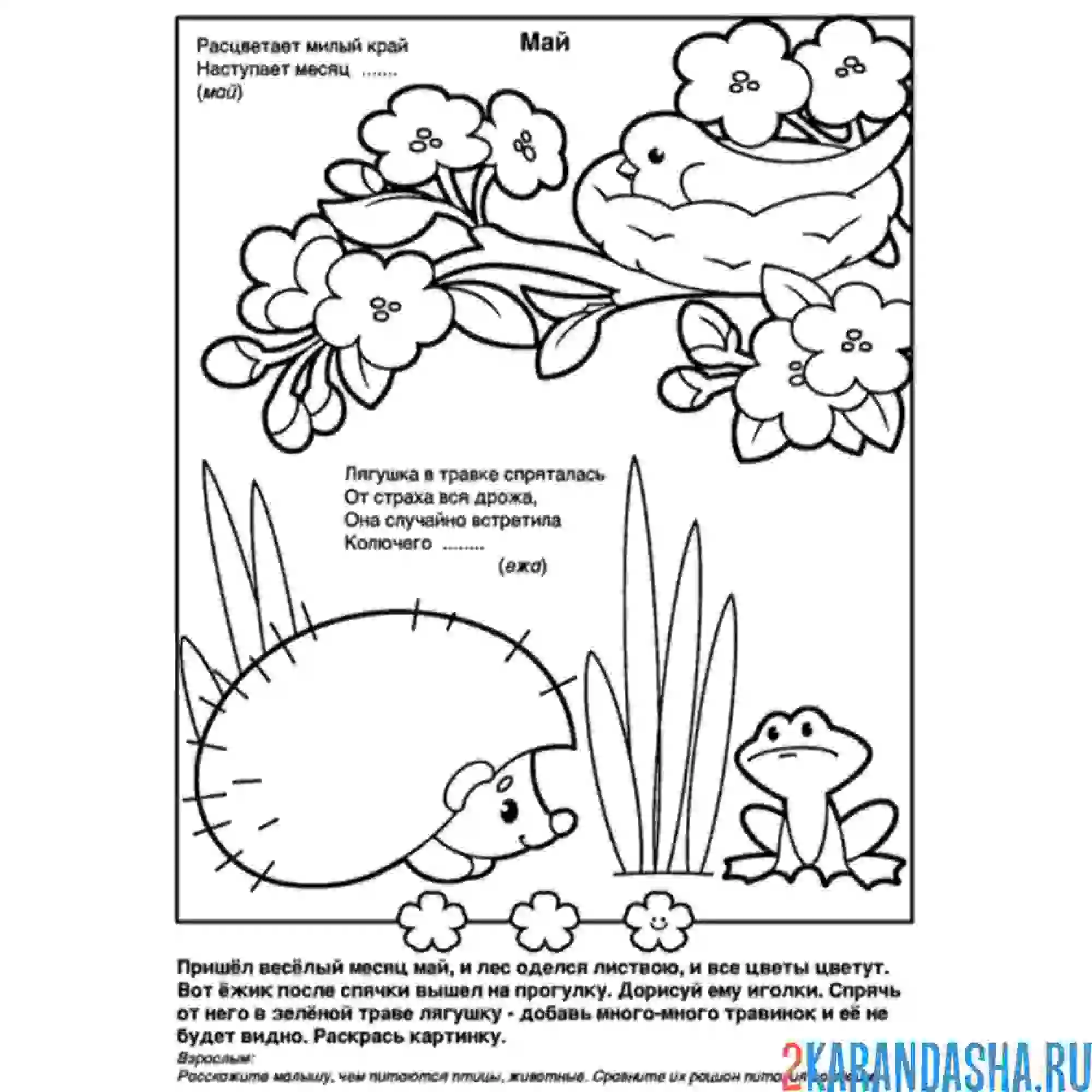 Раскраска описание май месяц