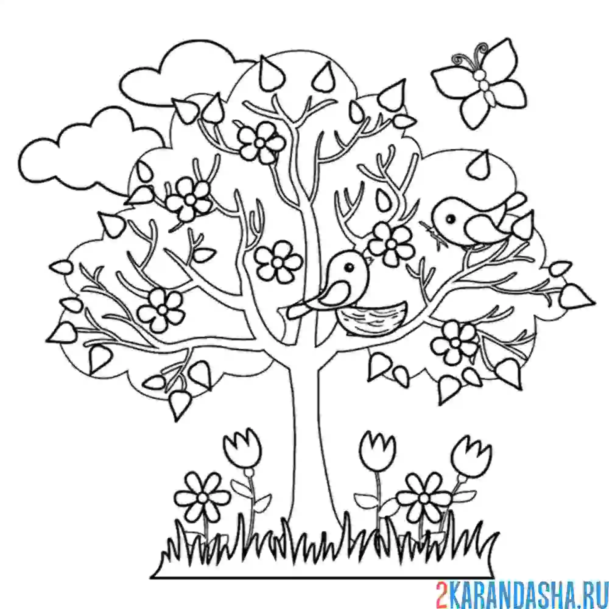 Раскраска майское дерево