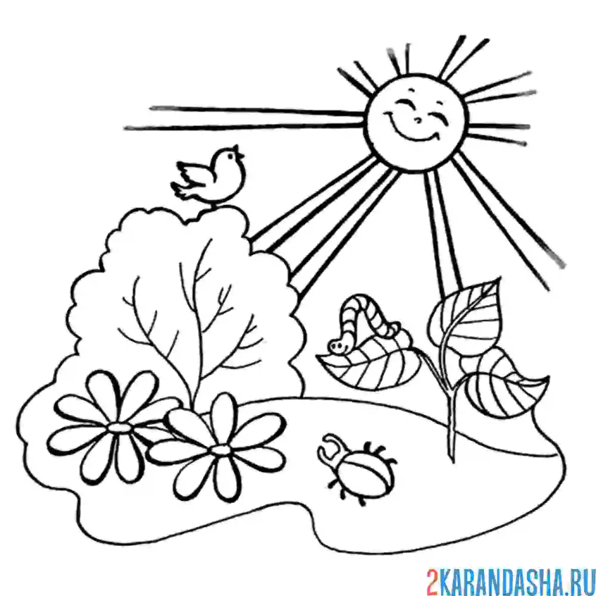 Раскраска солнце в мае