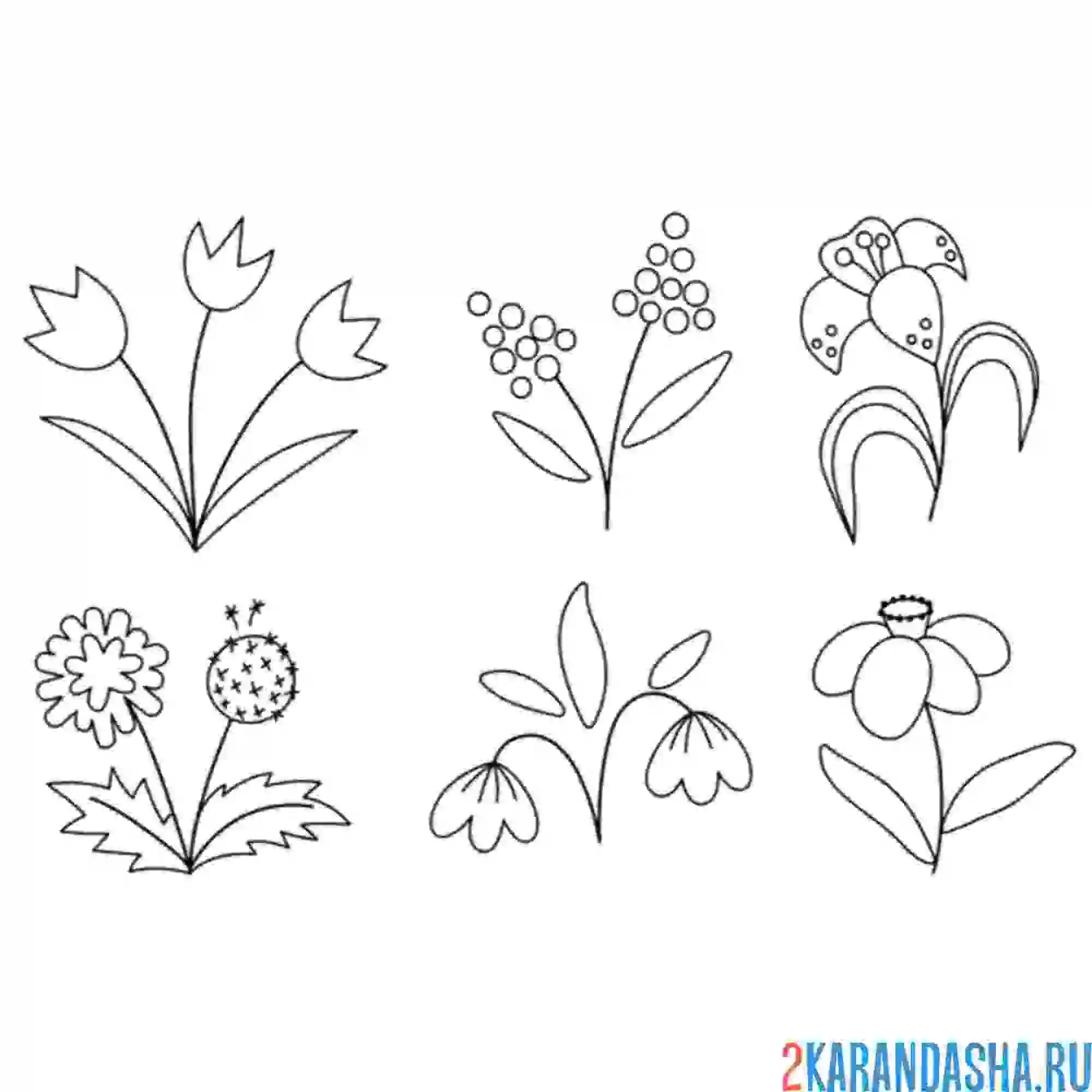 Раскраска цветы на земле